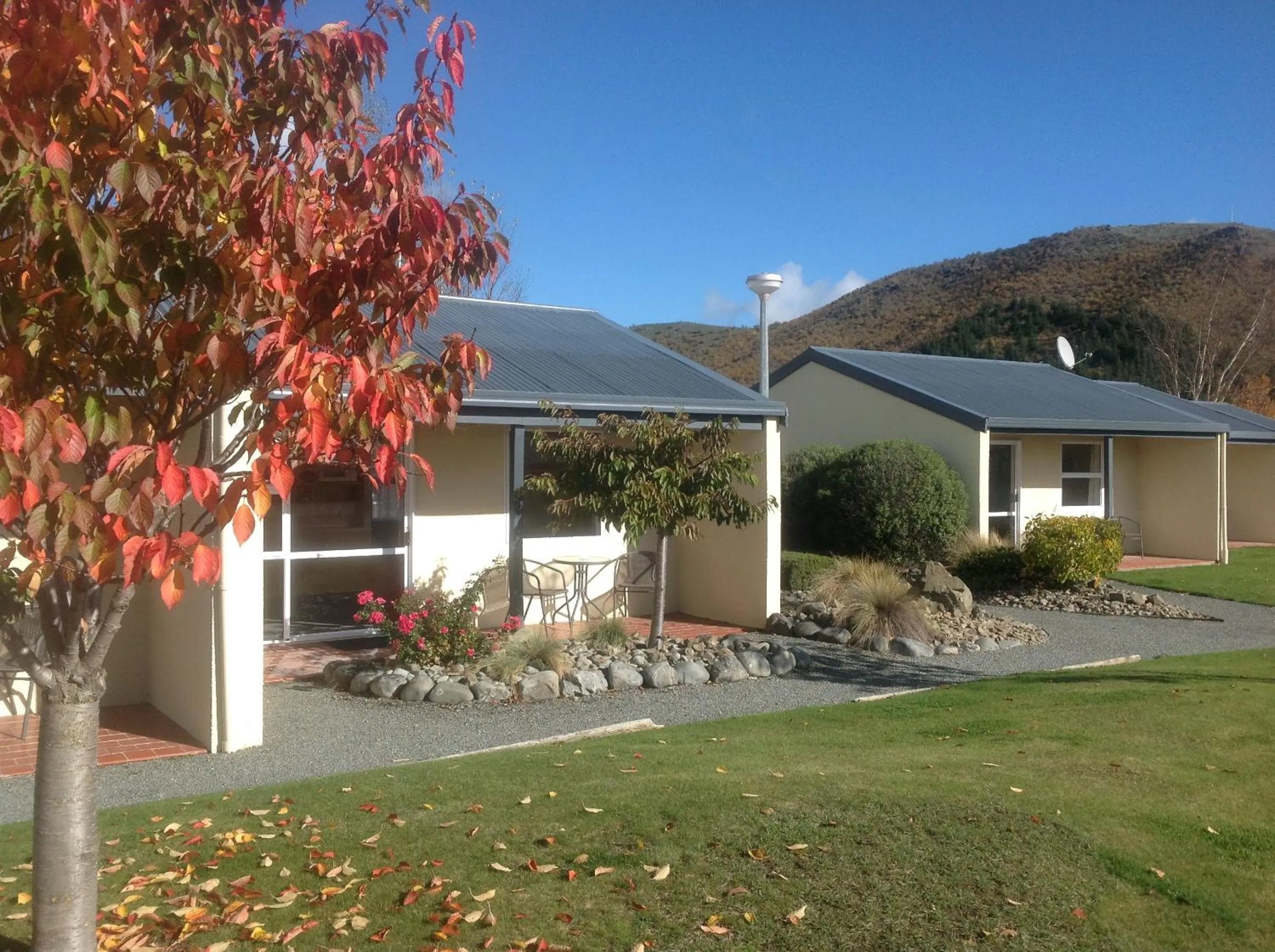 Autumn in Ahuriri Motels