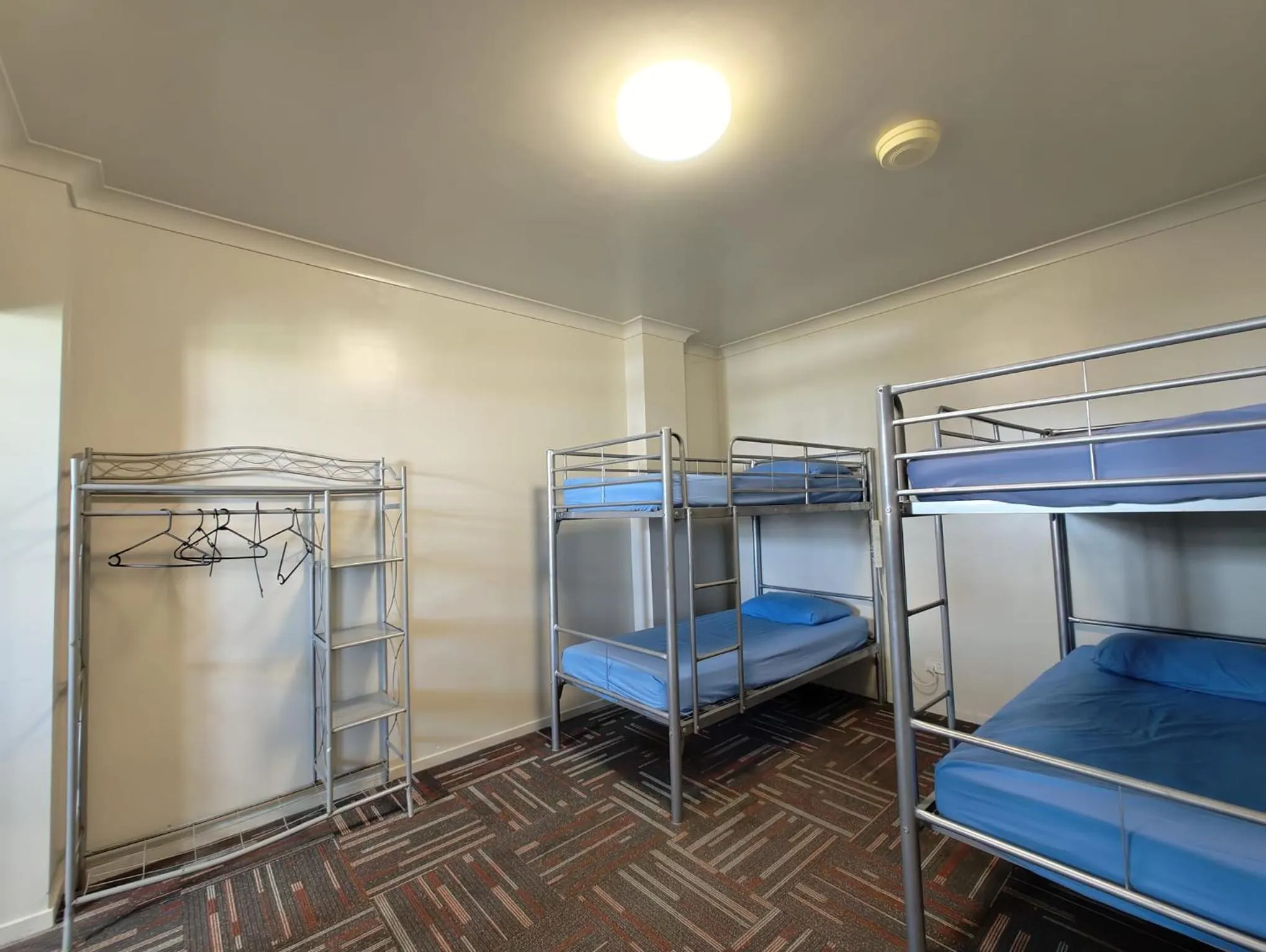 bunk bed, Bed in City Backpackers HQ