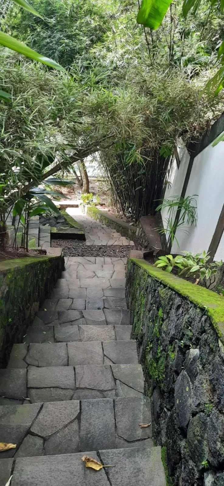 Guesthouse The 4 Fish