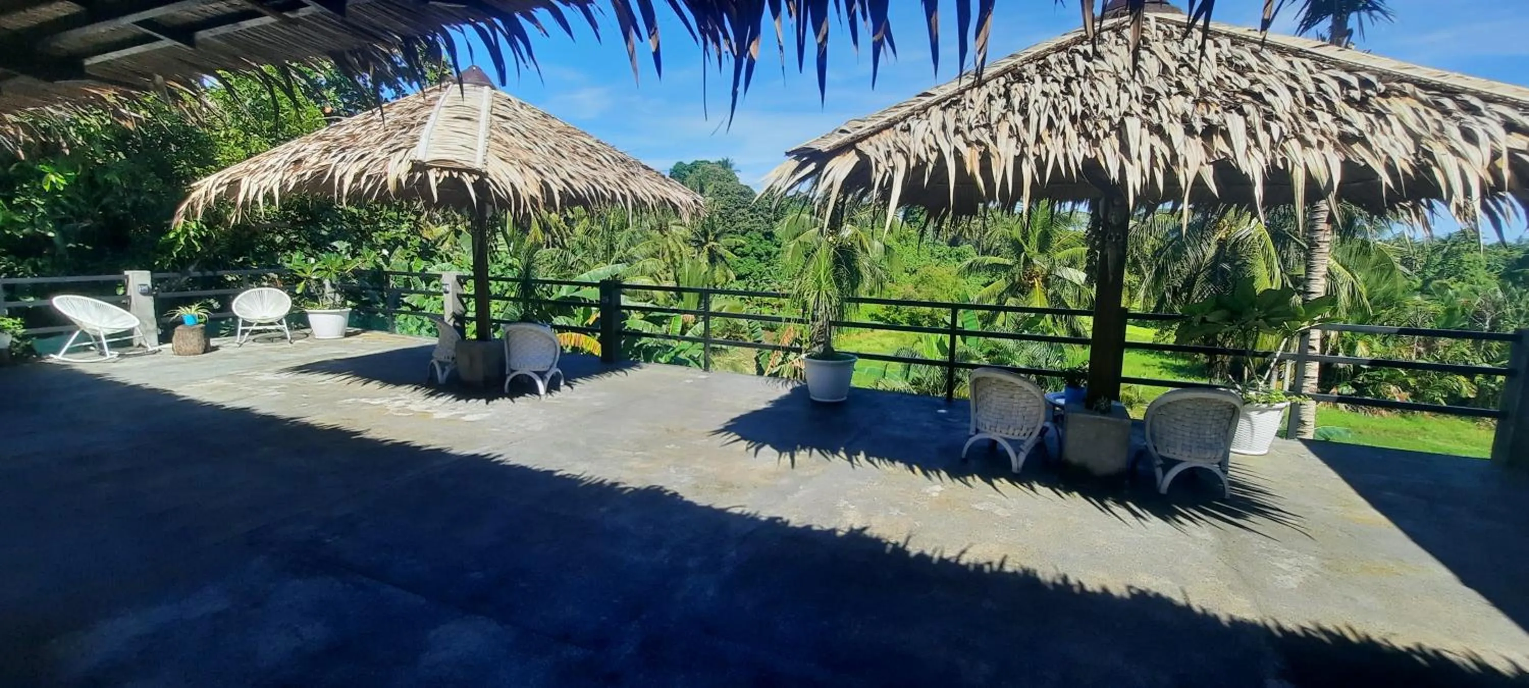 Balcony/Terrace in Guesthouse The 4 Fish