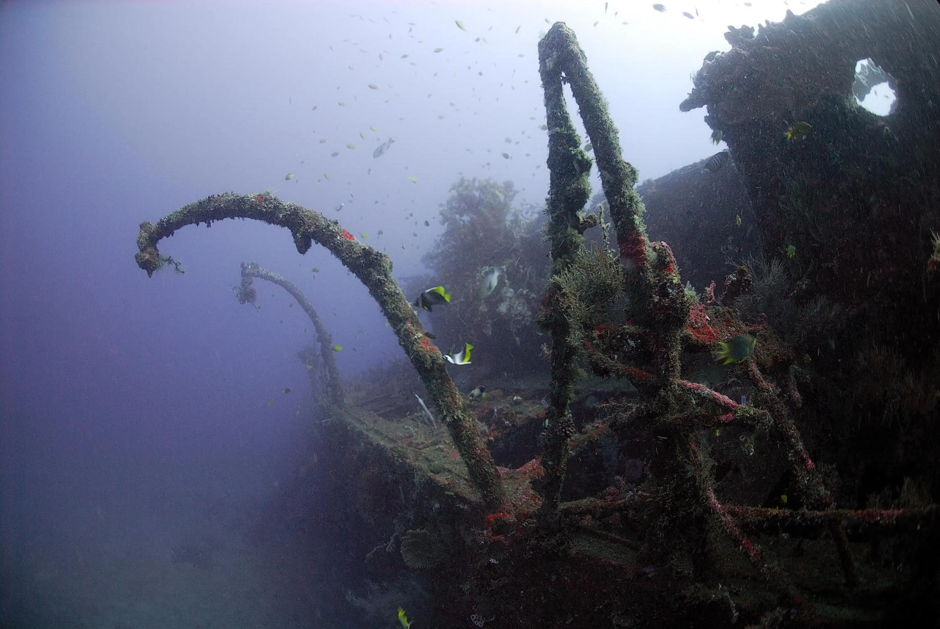 Nearby landmark in Guesthouse The 4 Fish