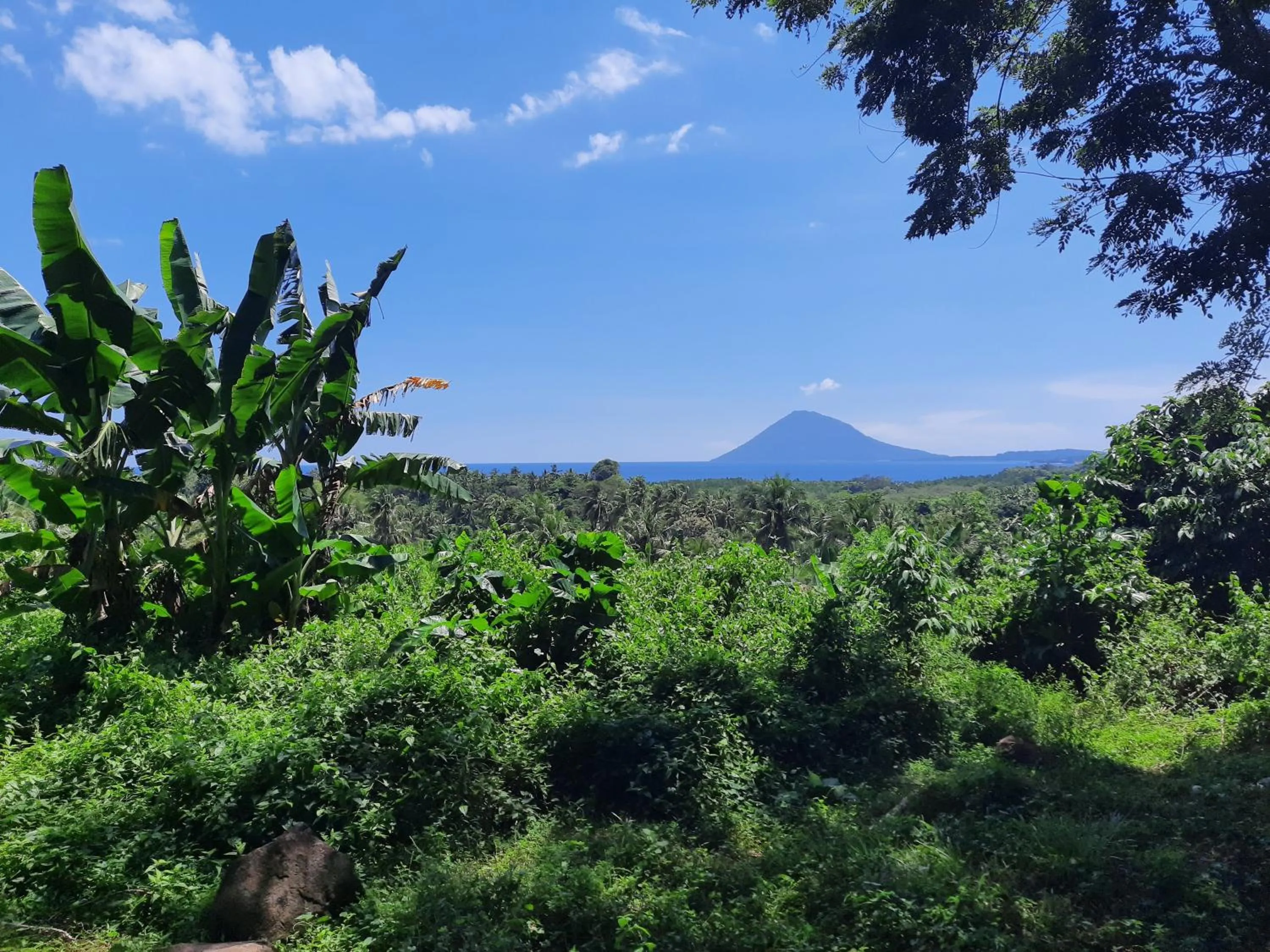 Nearby landmark in Guesthouse The 4 Fish