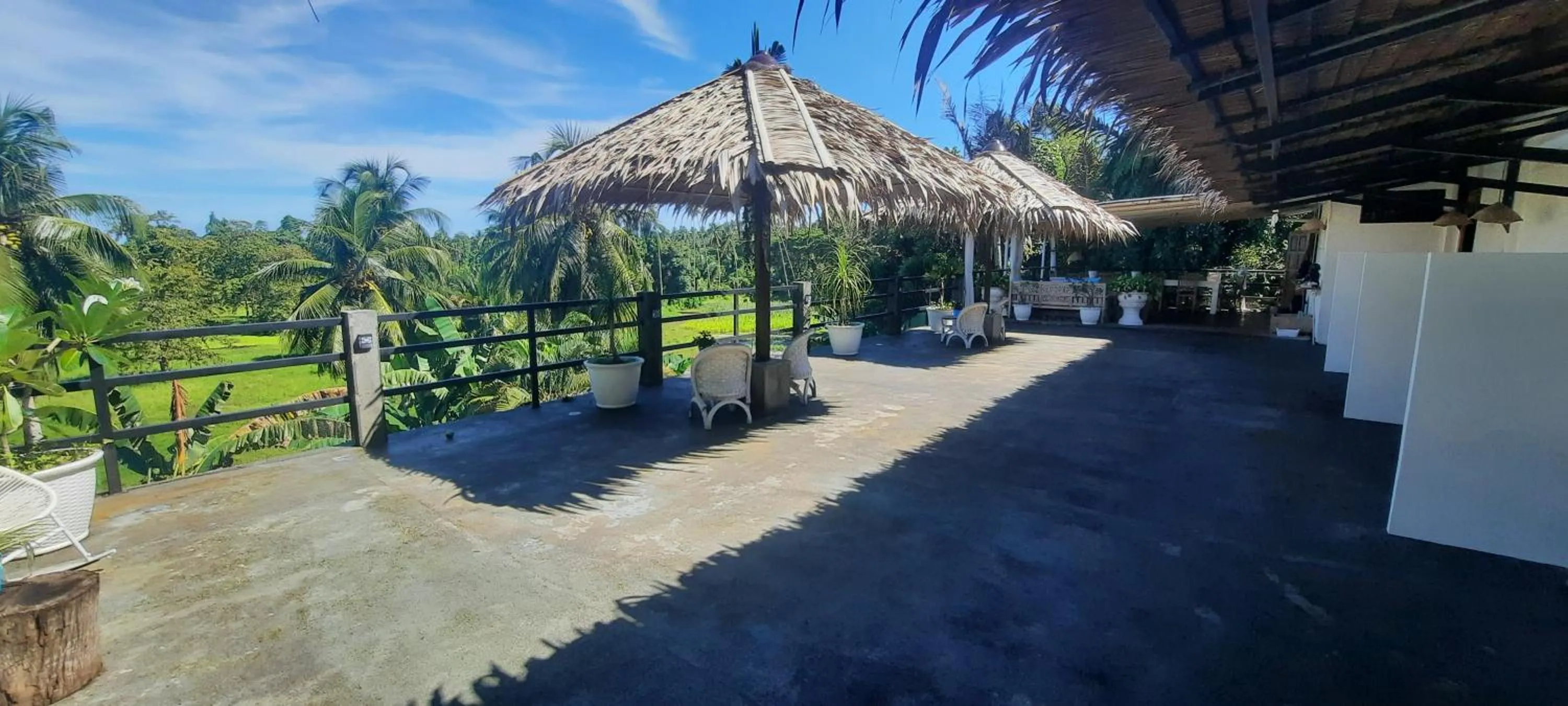 Balcony/Terrace in Guesthouse The 4 Fish