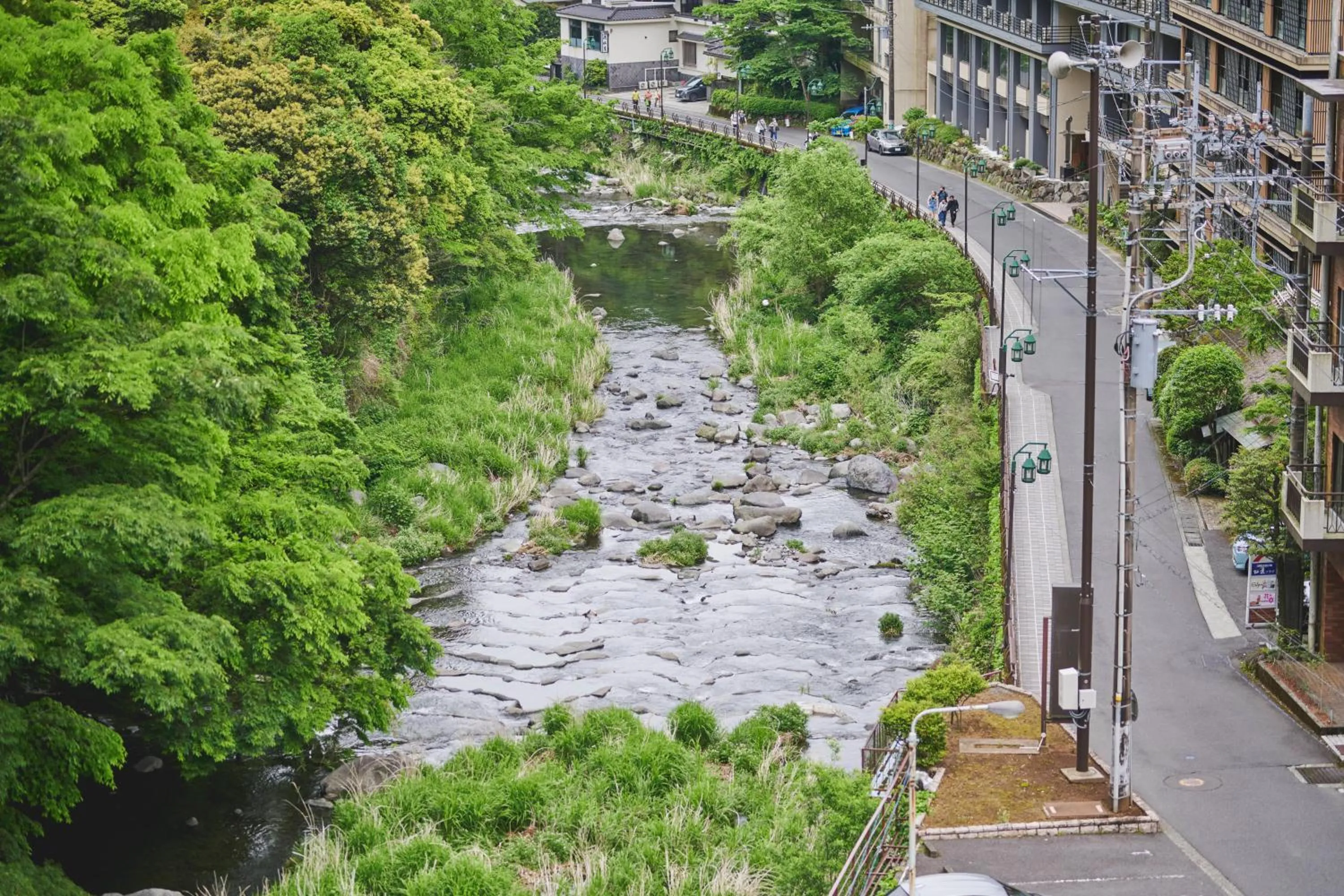 View (from property/room) in Hakone Pax Yoshino