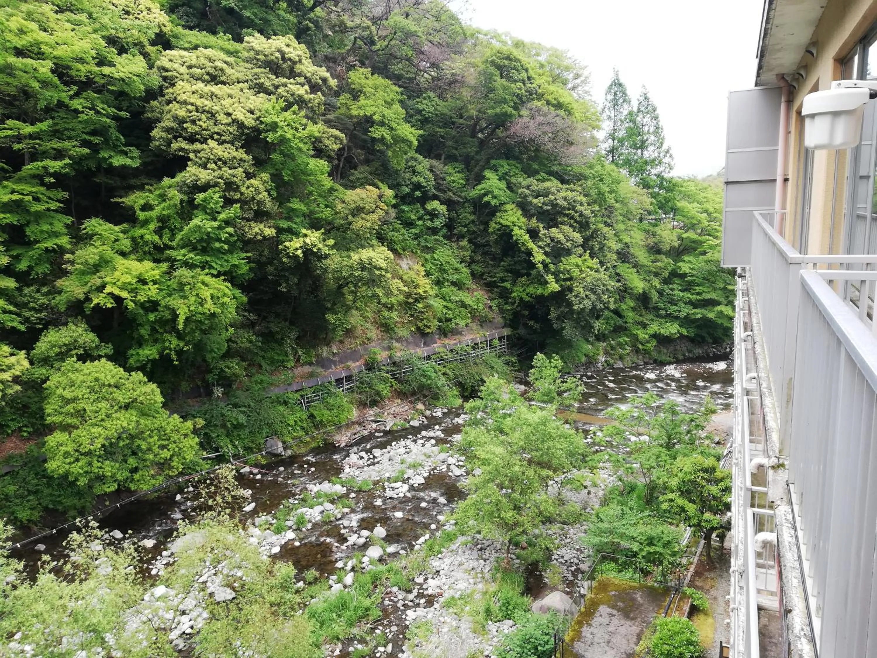View (from property/room) in Hakone Pax Yoshino