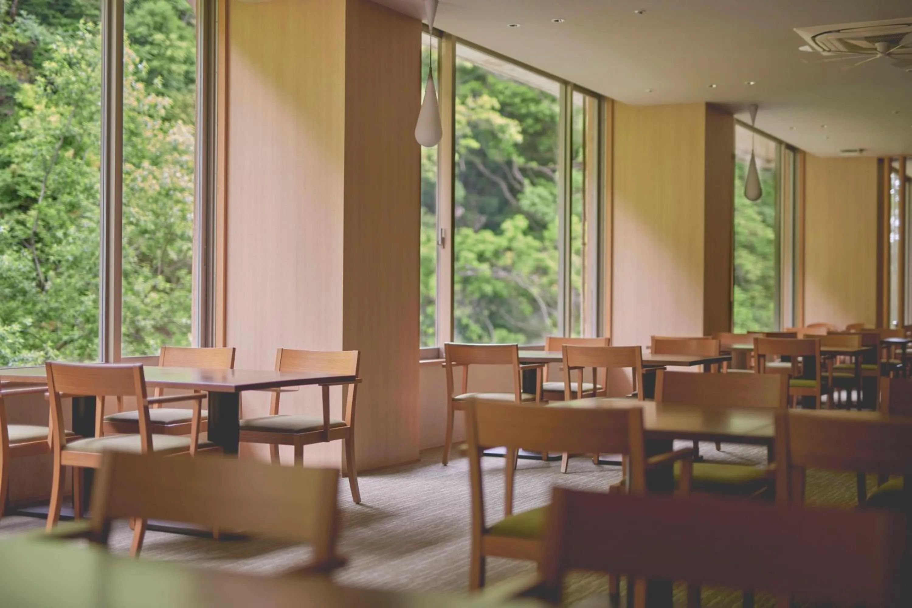 Restaurant/places to eat in Hakone Pax Yoshino