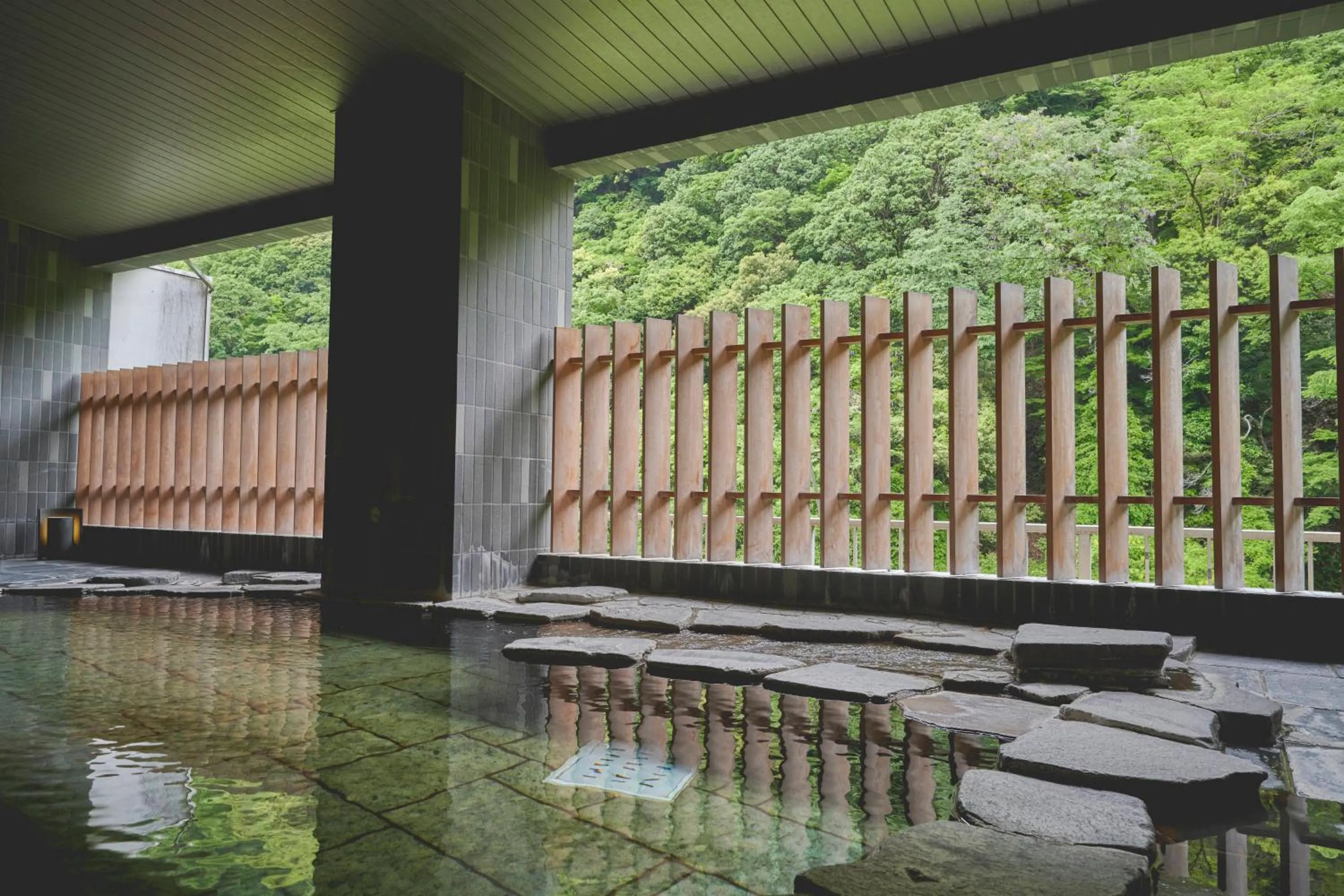Hot Spring Bath in Hakone Pax Yoshino
