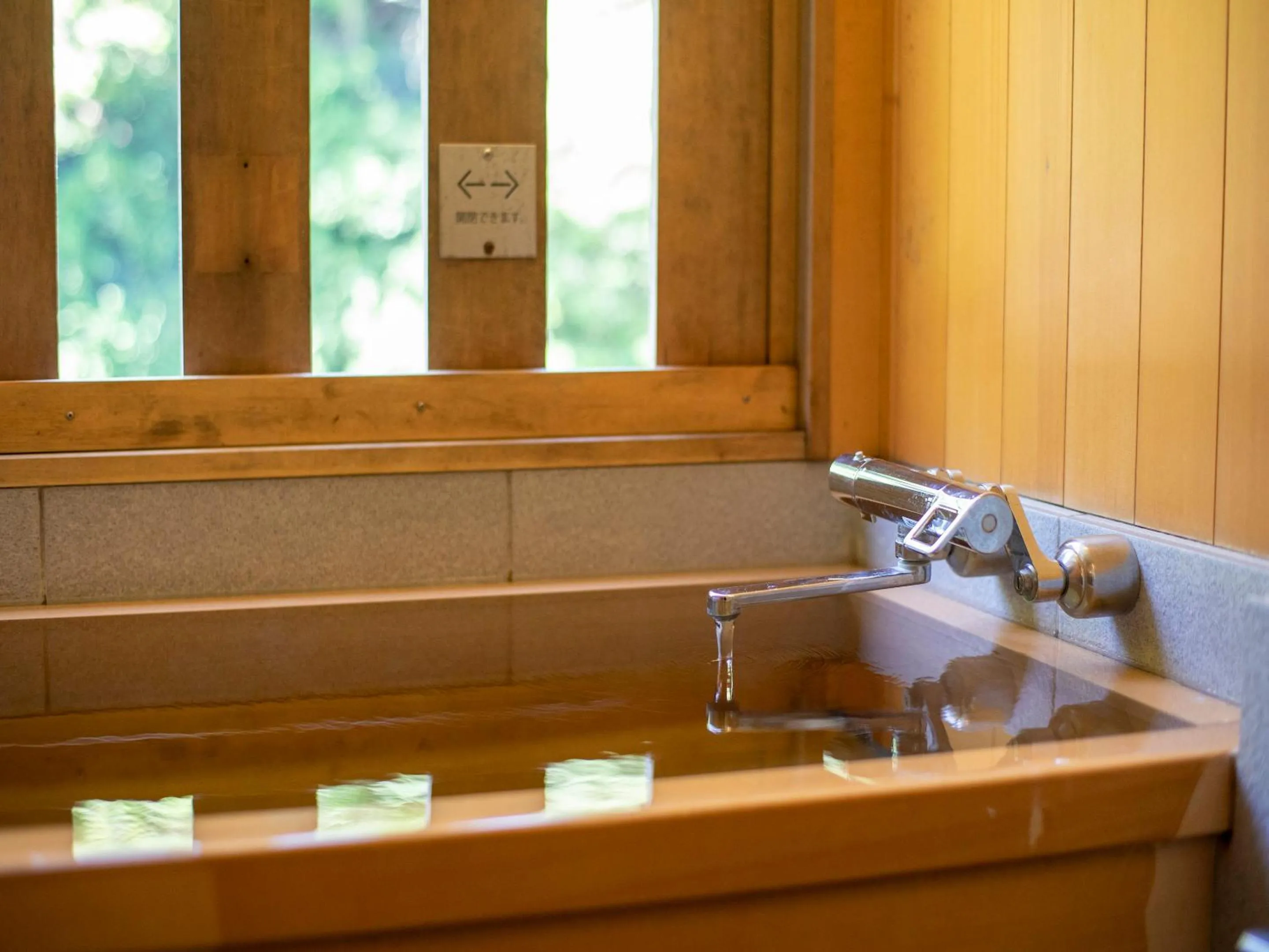 Open Air Bath in Hakone Pax Yoshino