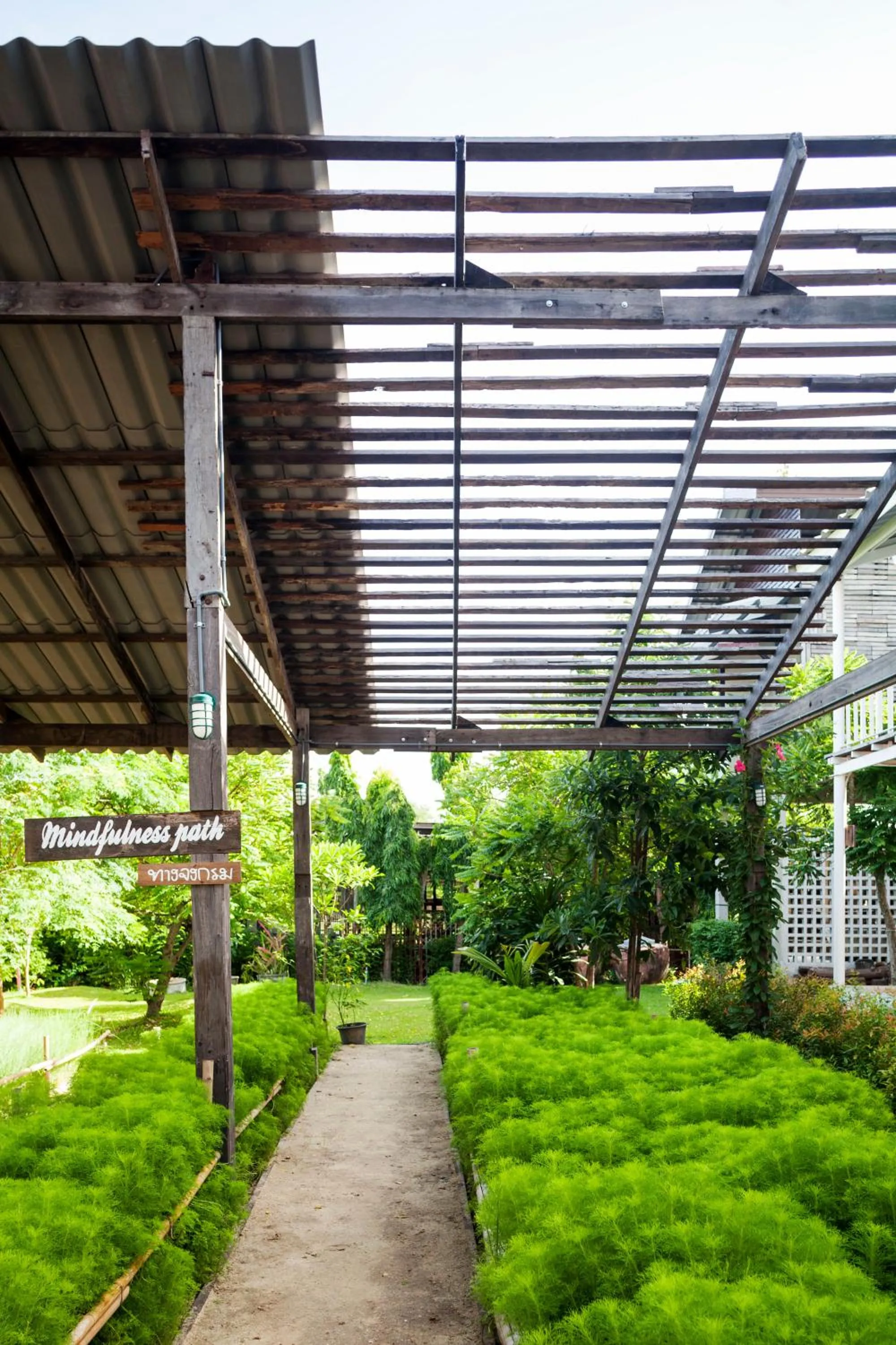 Garden view in Krodyle Mindfulness House