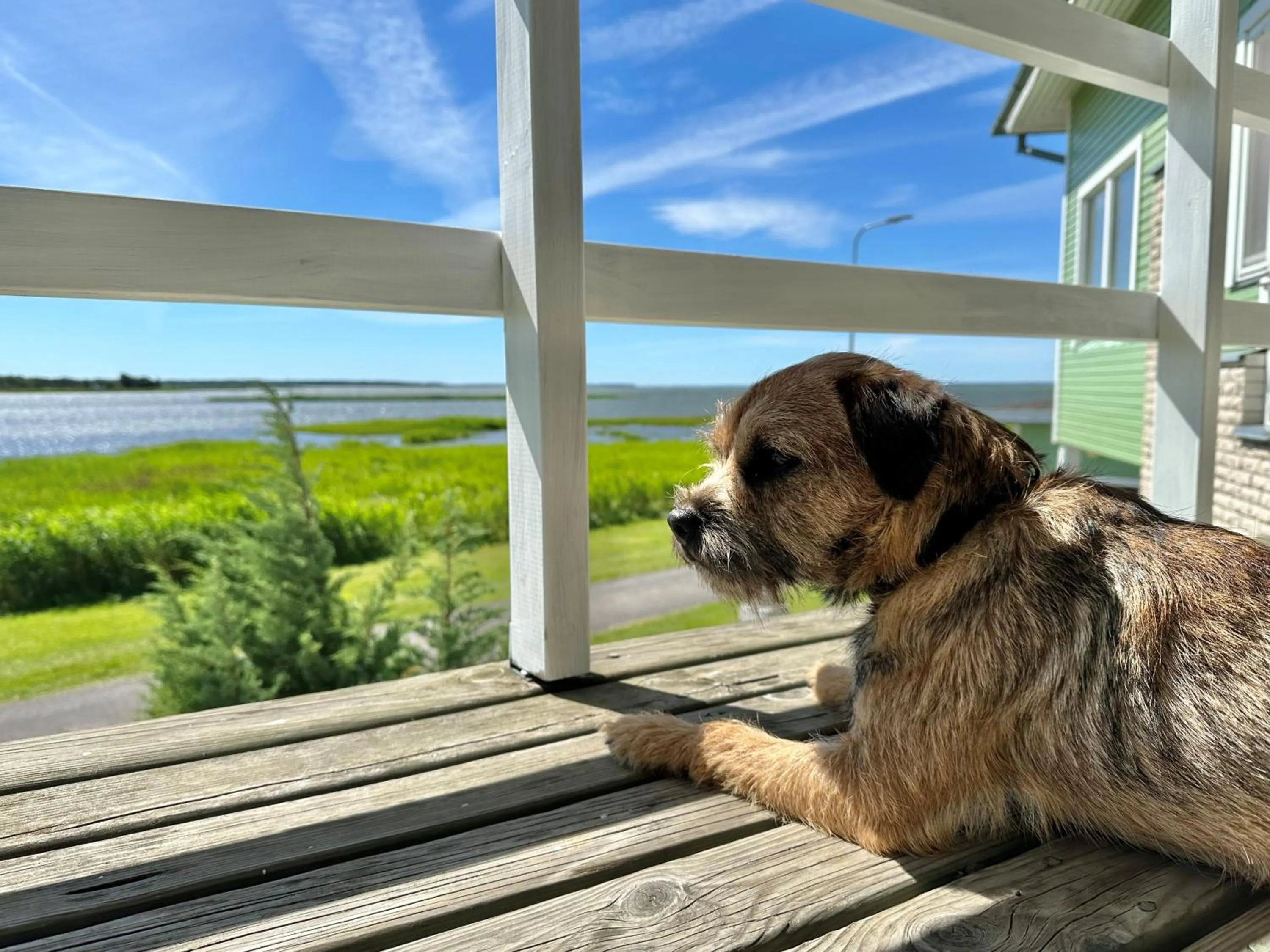 Natural landscape in Päeva Villa