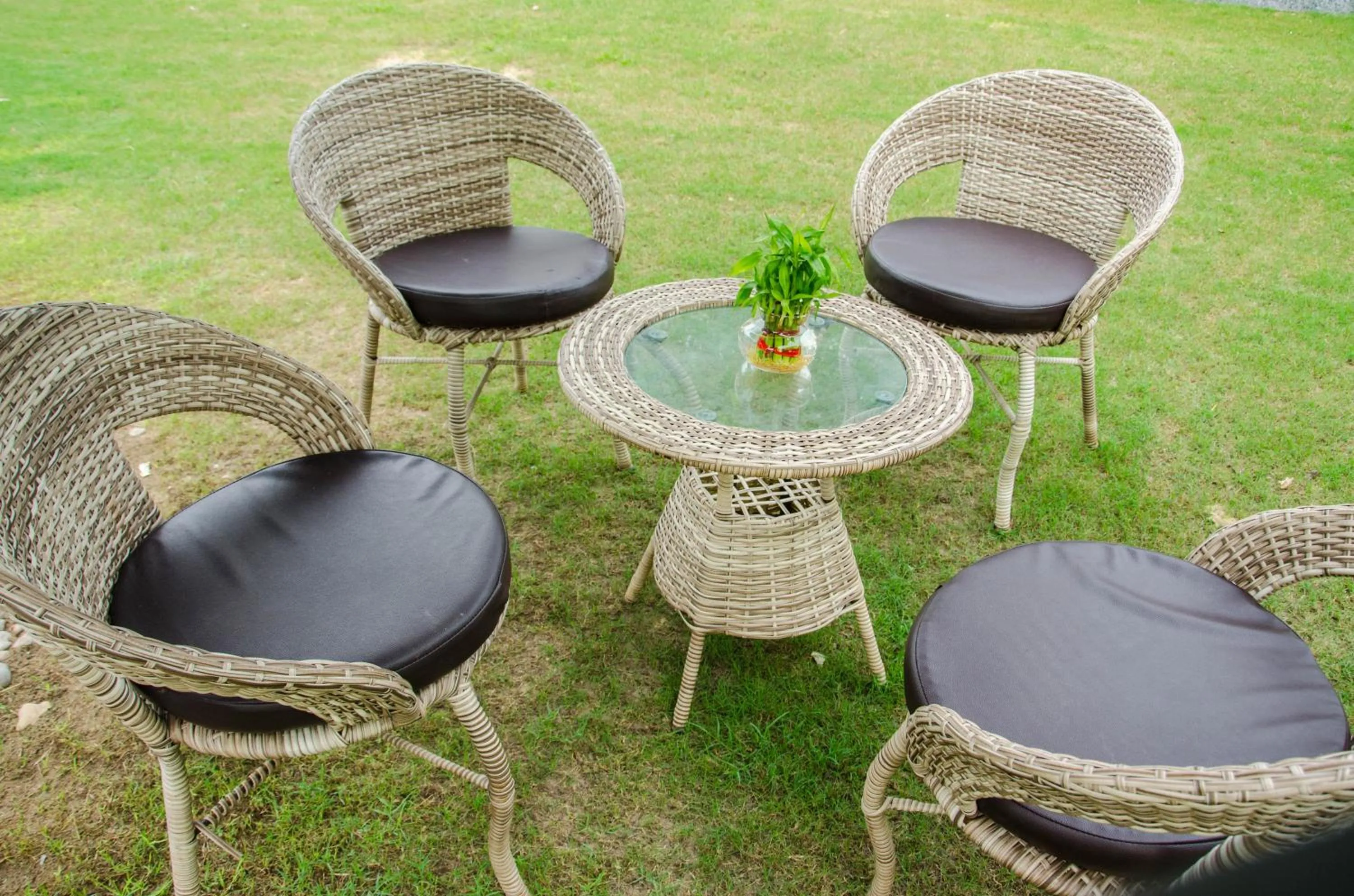 Garden in The timber garden adventure club