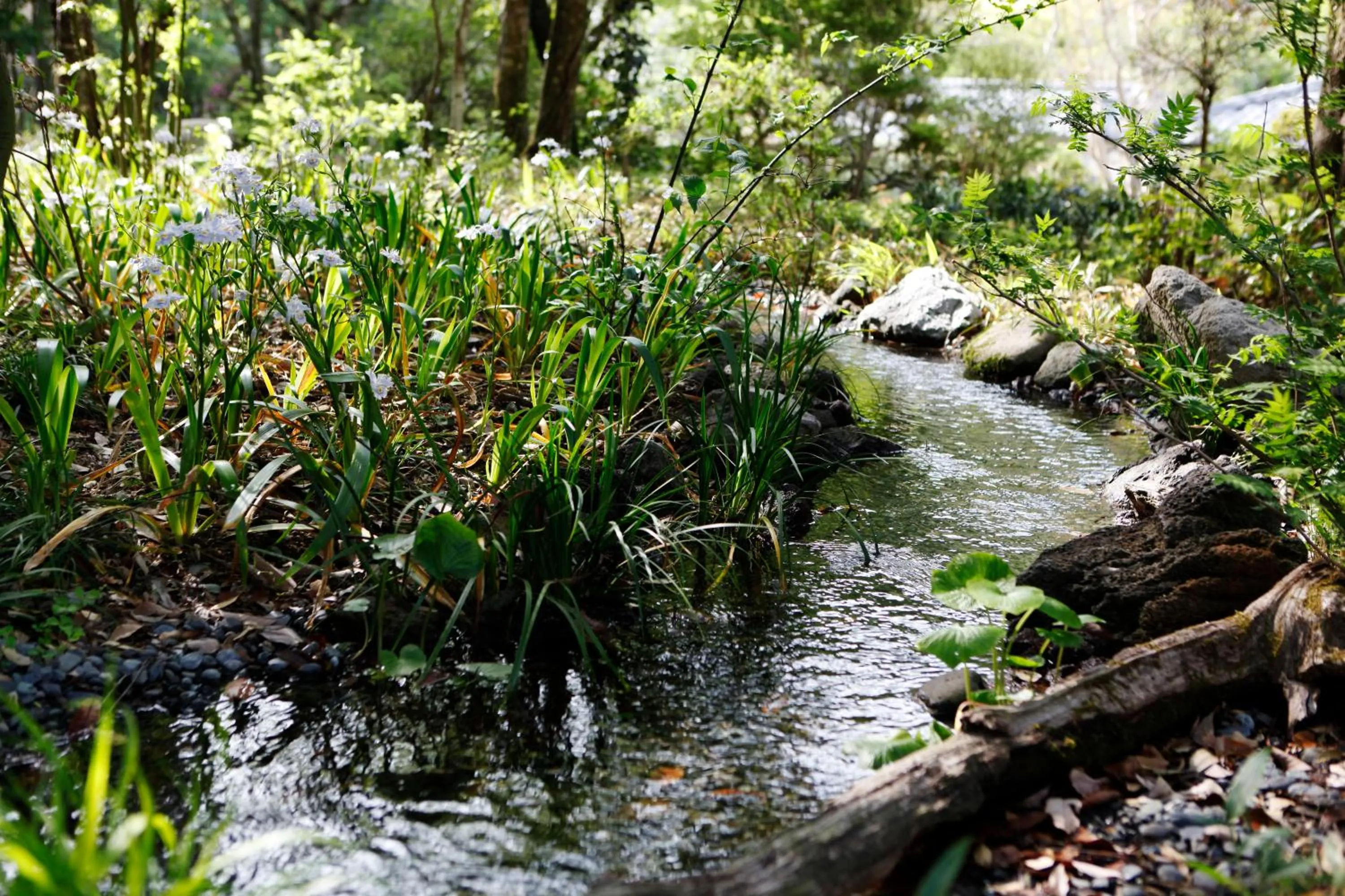 Spring in Tofuya Resort&Spa-Izu