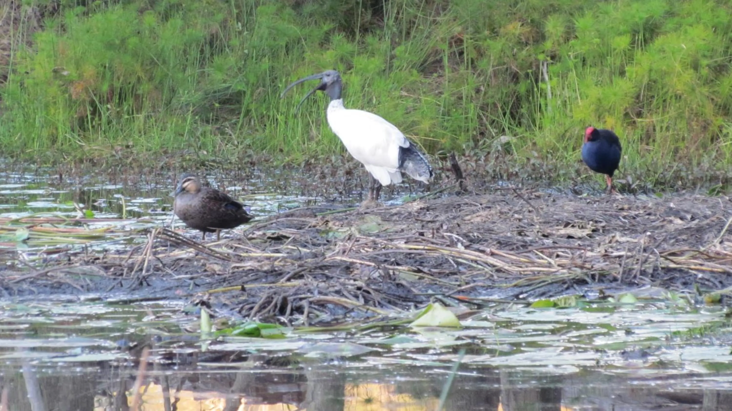 Lake Russell Retreat