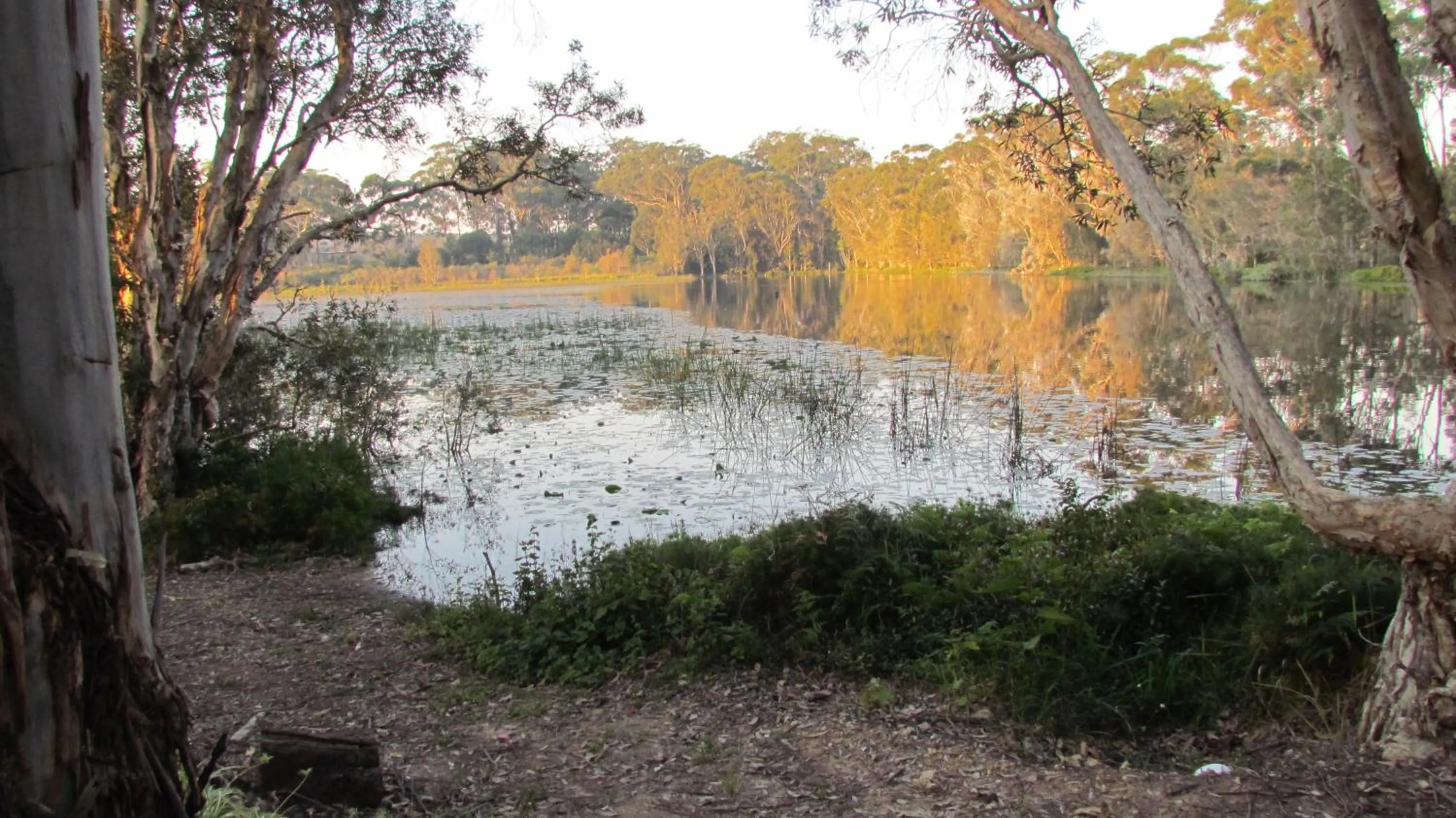 Lake Russell Retreat