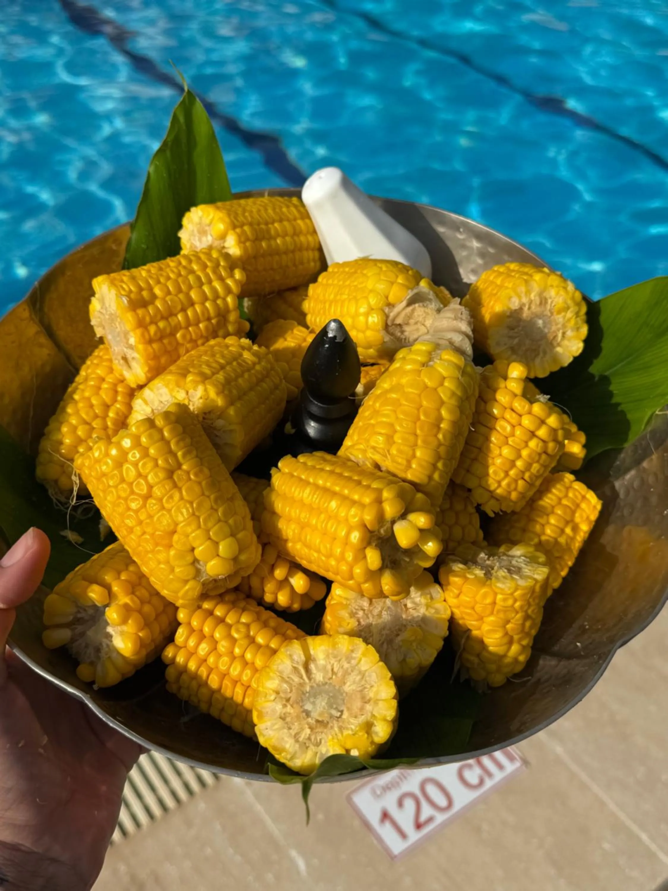 Swimming pool in True Blue Boutique Hotel Kalkan