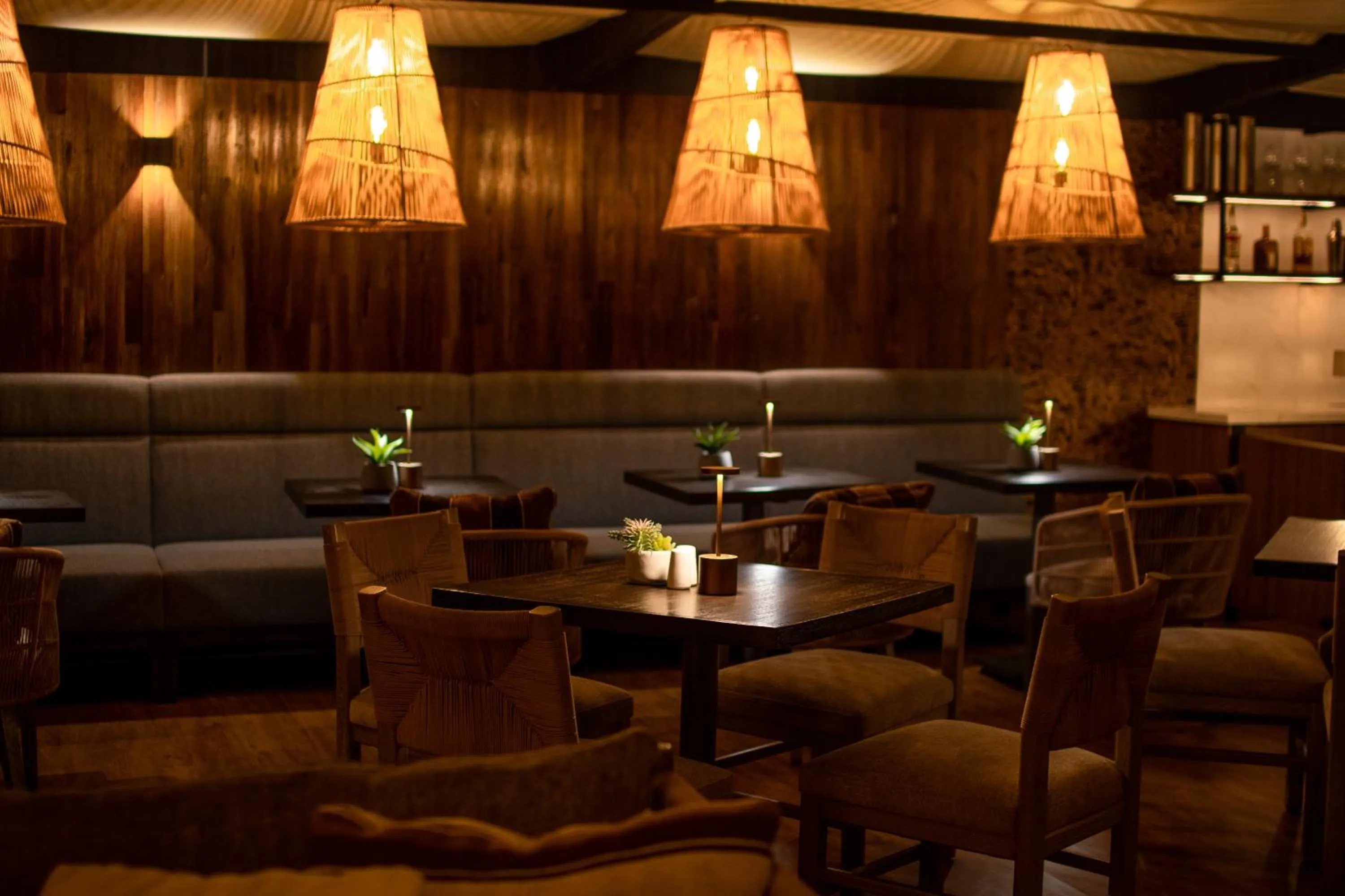 Lounge or bar in Hotel de Sal Luna Salada