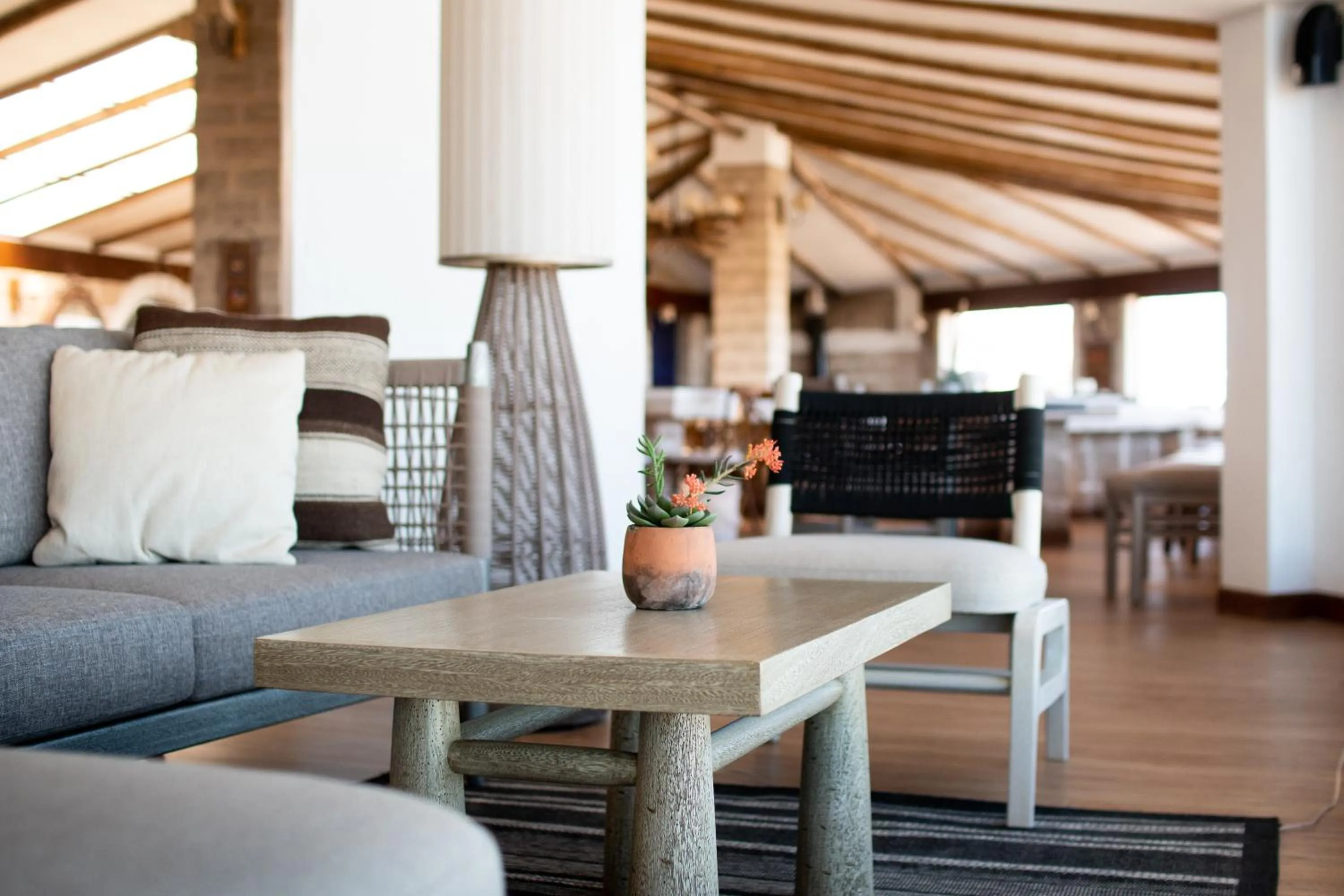 Restaurant/places to eat in Hotel de Sal Luna Salada