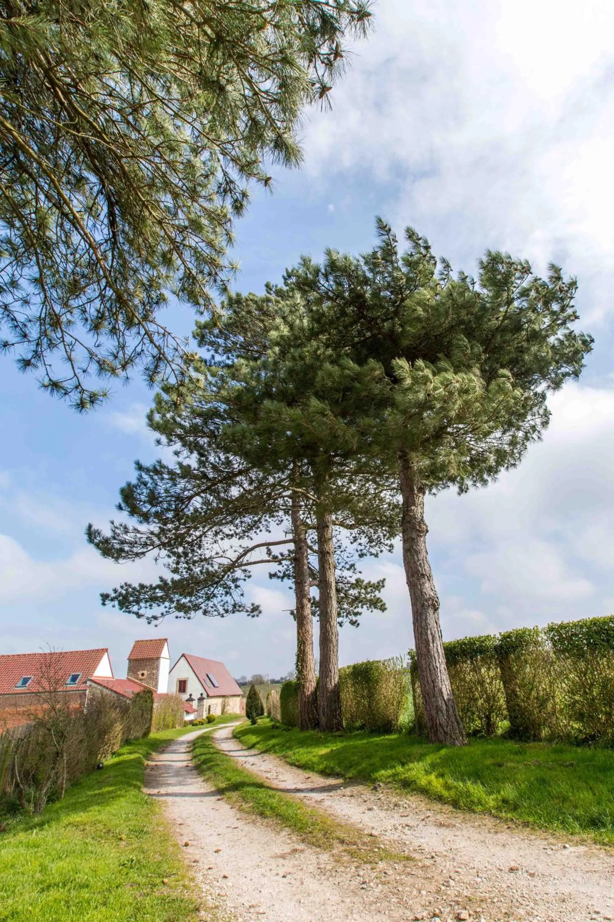 Garden in Éco-domaine Gîtes et Spa - Mer, Nature & Confort - Côte d'Opale