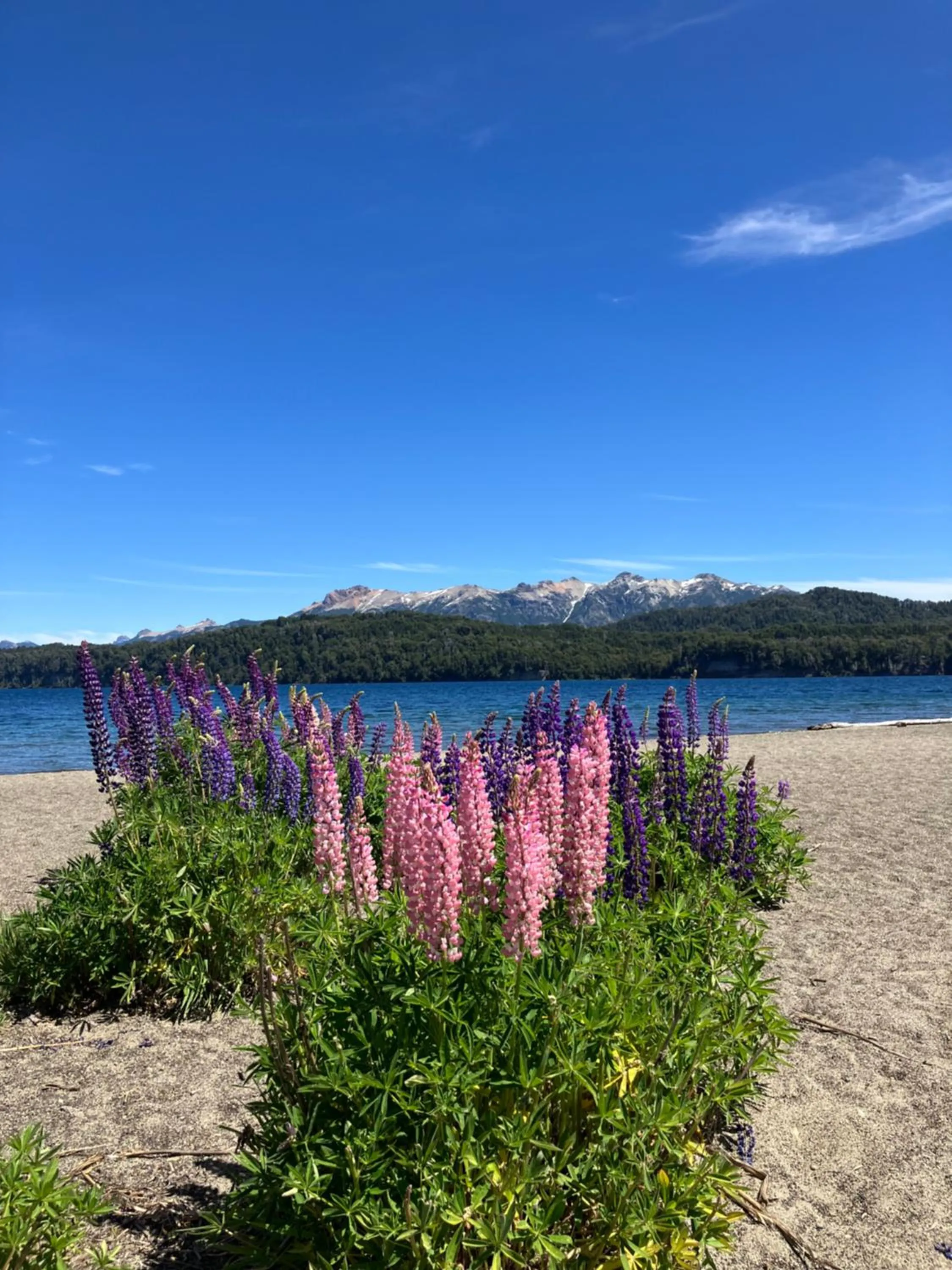 Beach in Manzano Resort