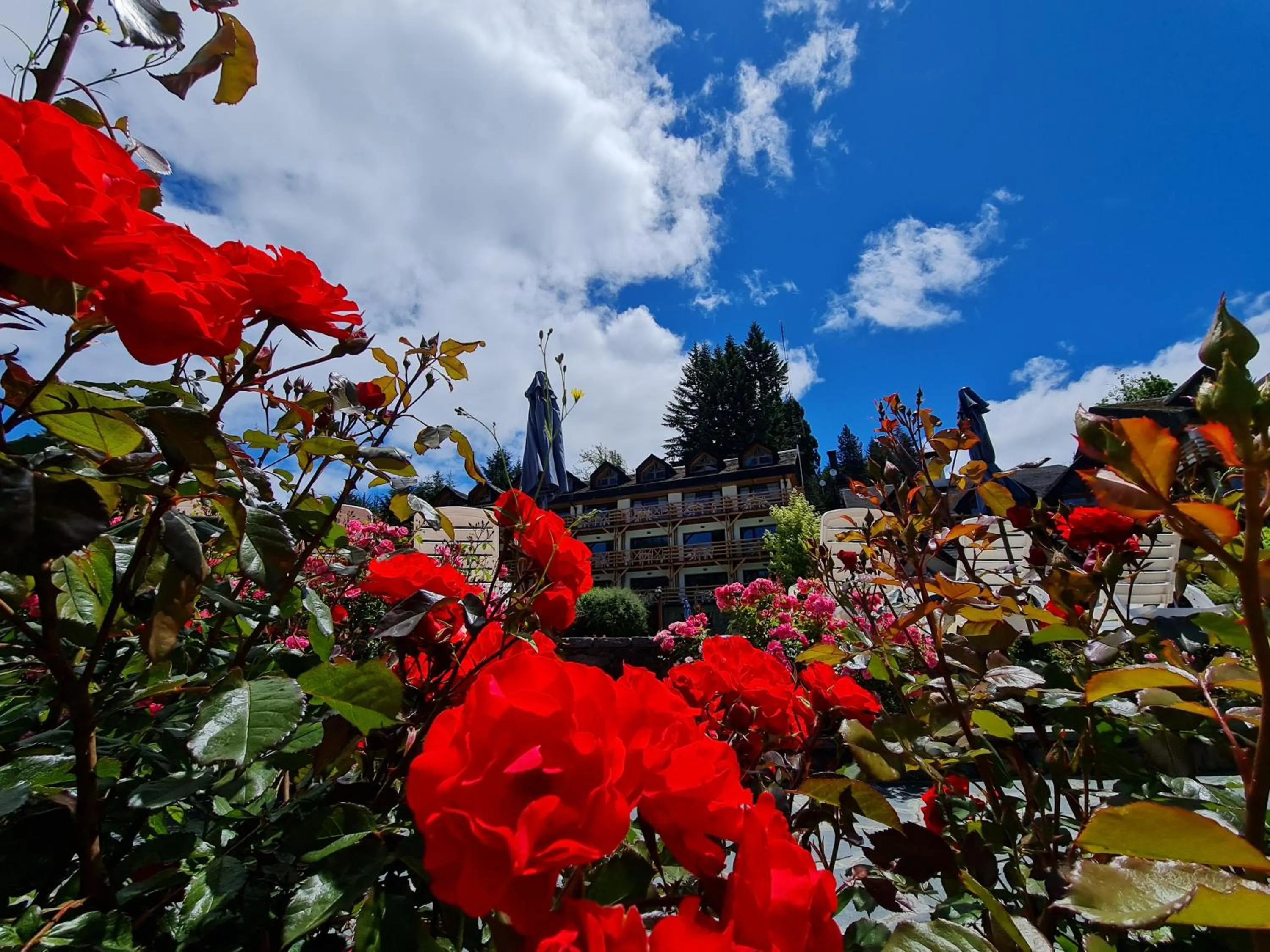 Garden view in Manzano Resort