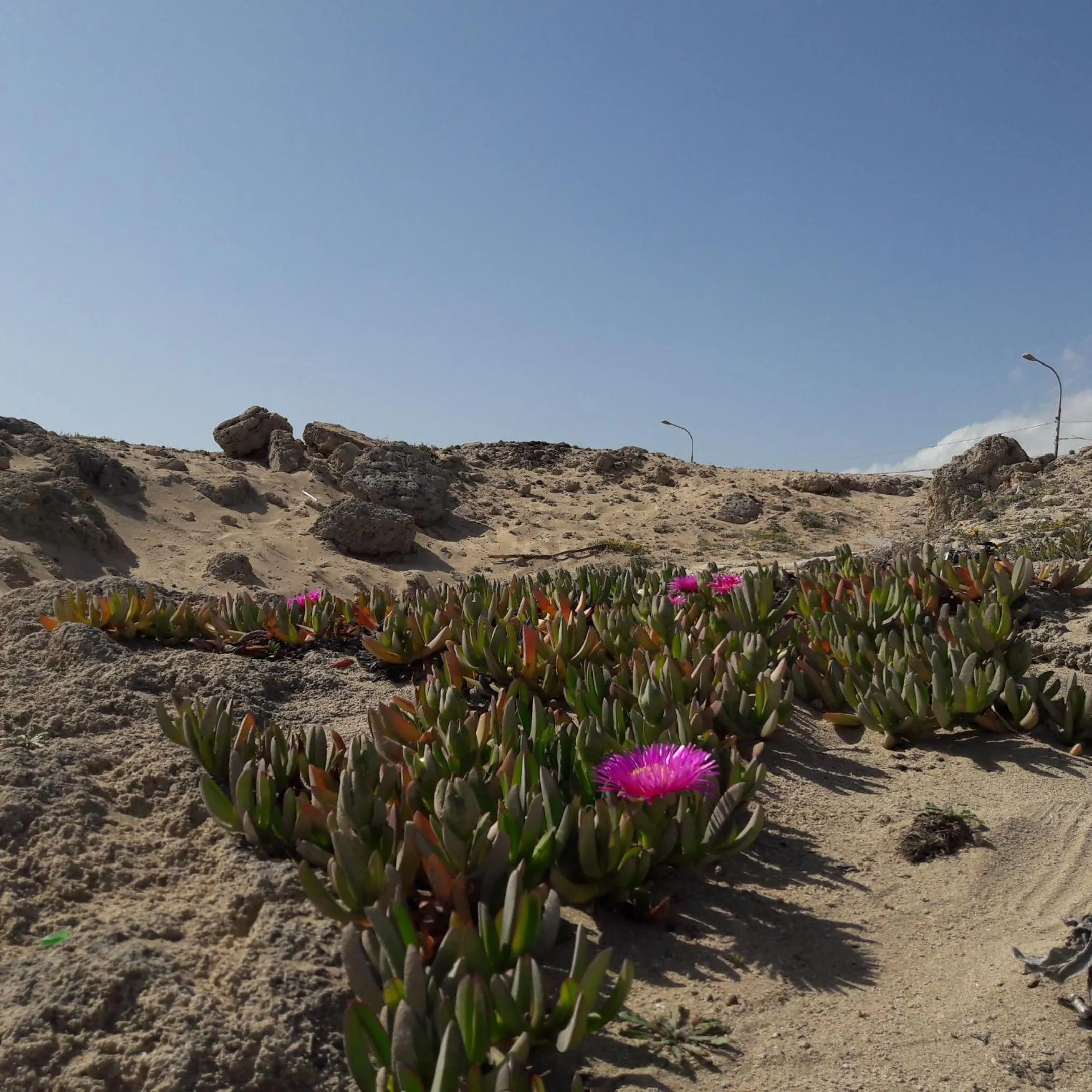 Property building in B&B Letizia