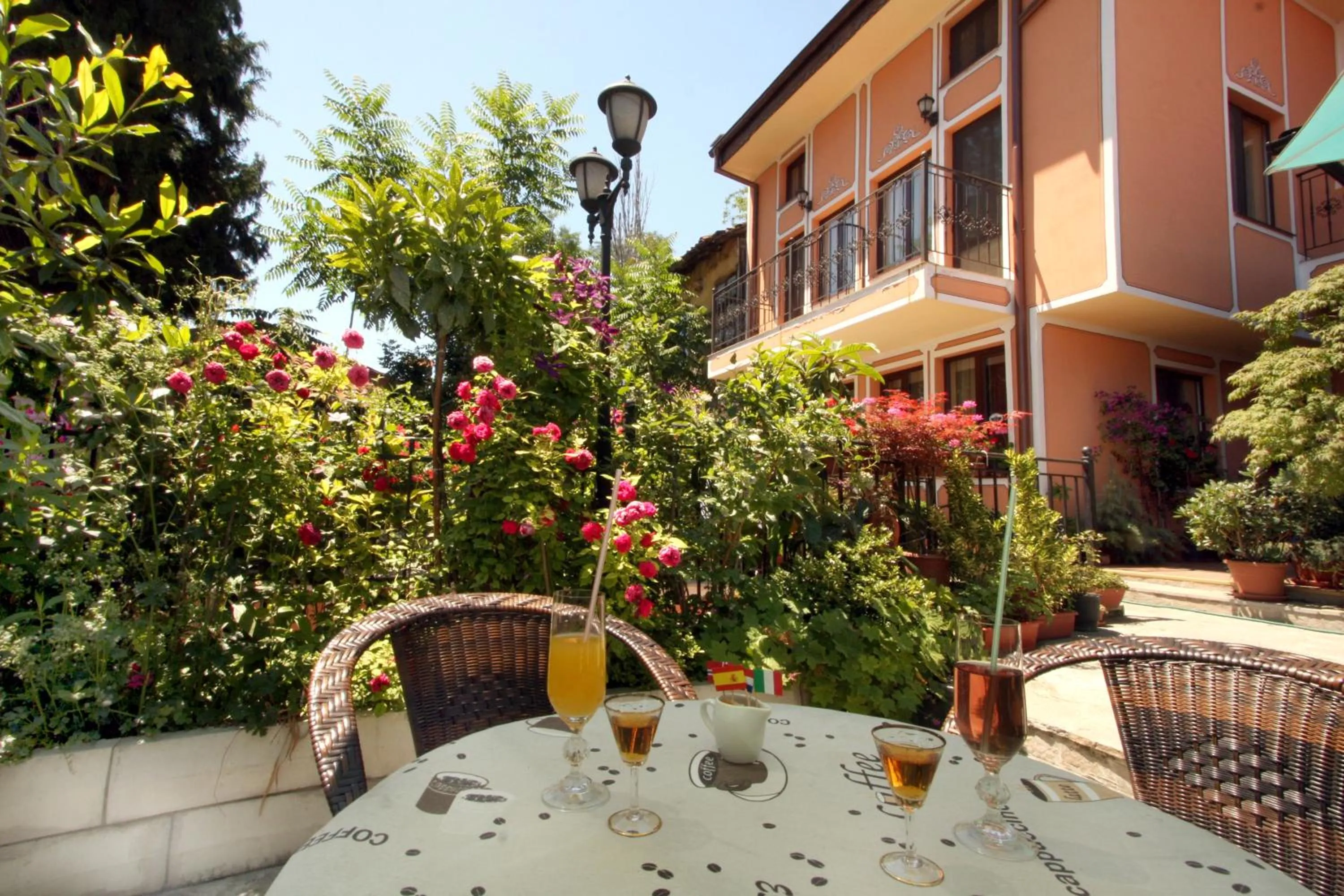 Garden view in Hotel Alafrangite