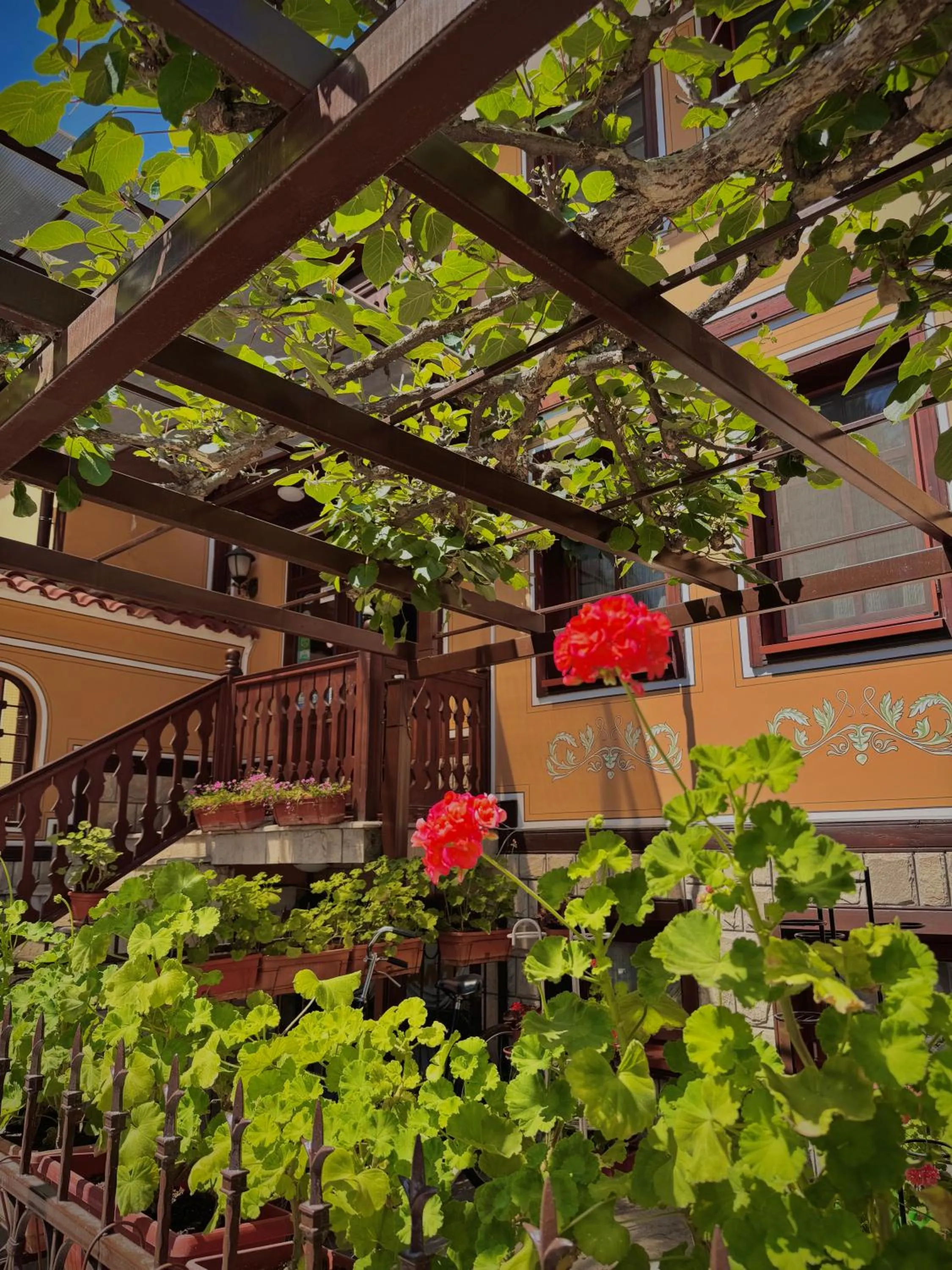 Family Hotel at Renaissance Square