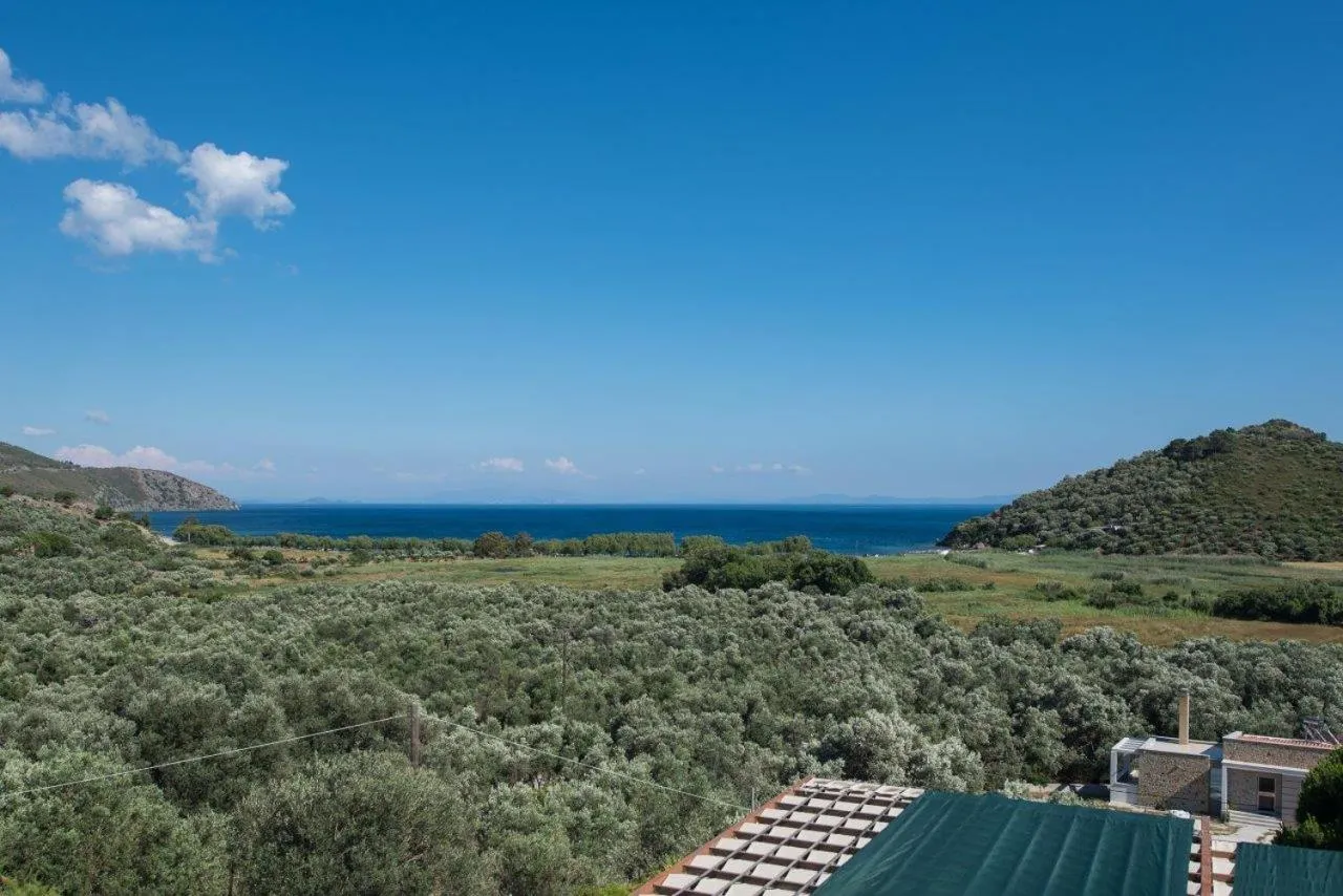 Balcony/Terrace in Blue Bay Hotel