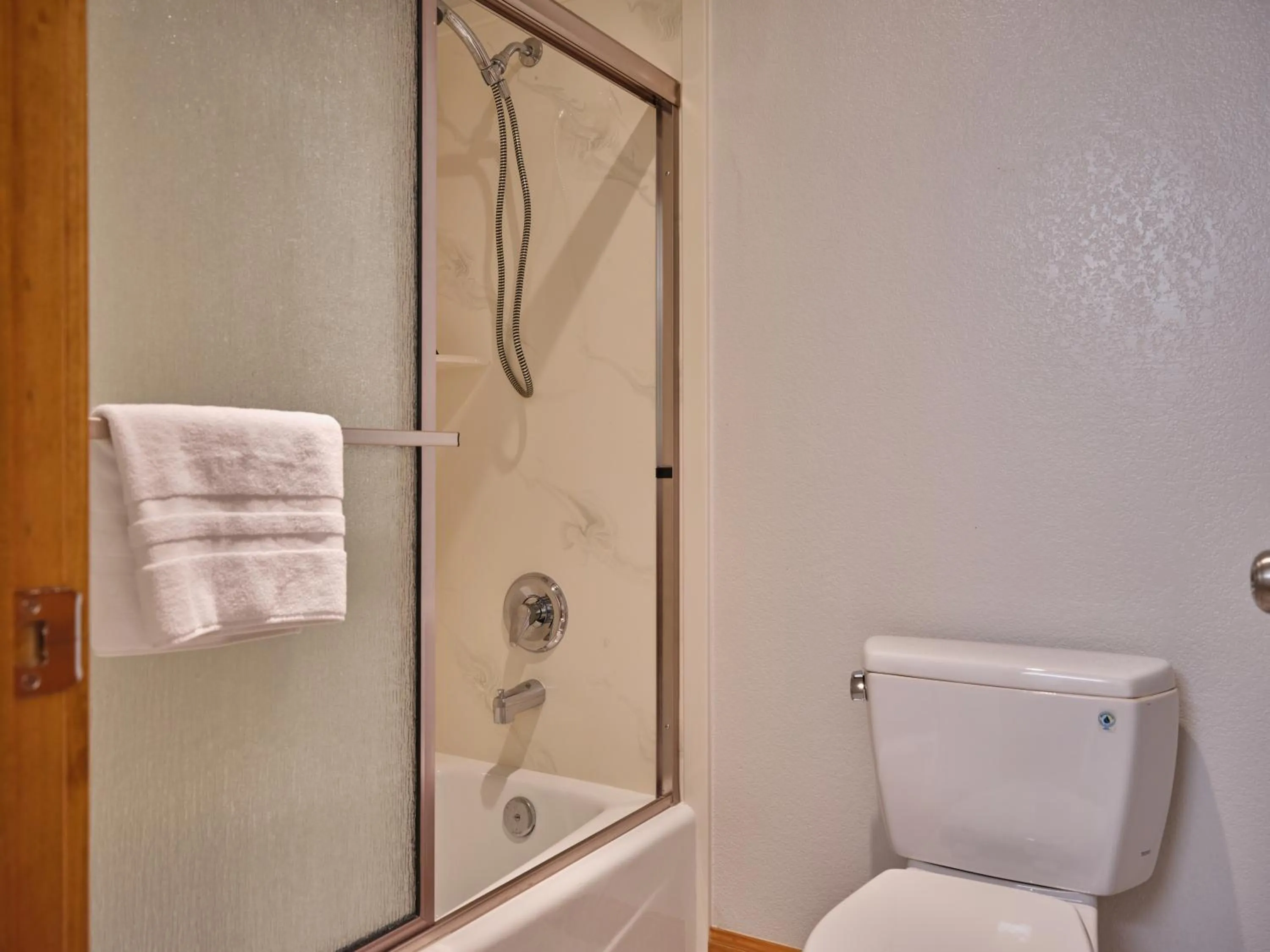 Toilet in Zermatt Utah Resort & Spa Trademark Collection by Wyndham