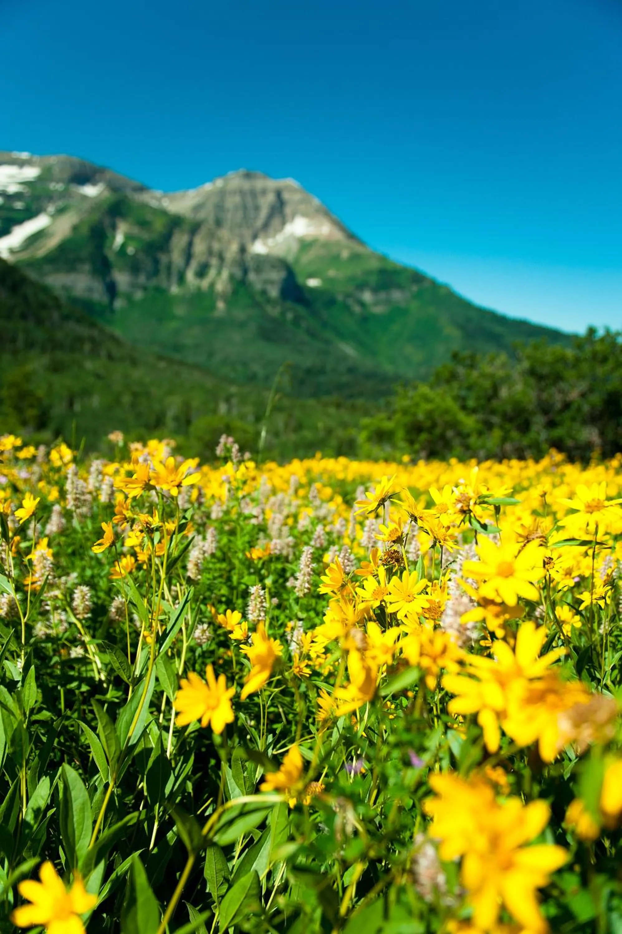 Area and facilities in Zermatt Utah Resort & Spa Trademark Collection by Wyndham