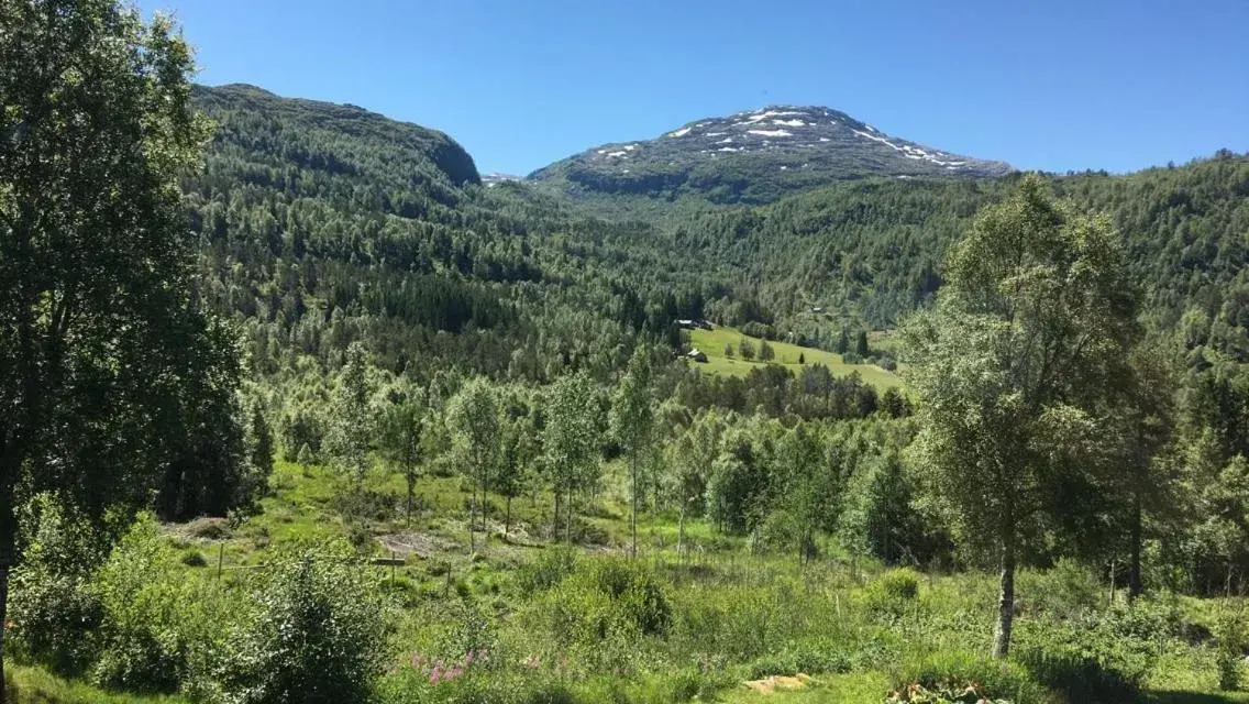 Double Room with Mountain View in Voss Lodge Rongastovo Double Room with Mountain View in Voss Lodge Rongastovo