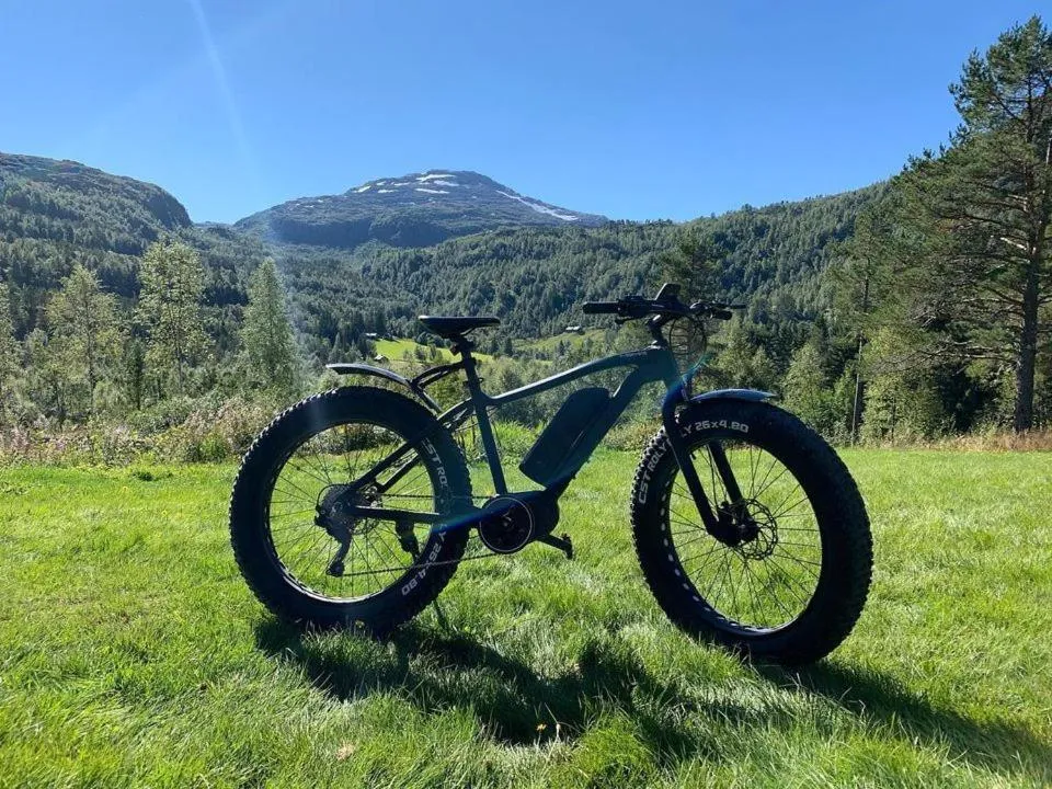 Cycling in Voss Lodge Rongastovo