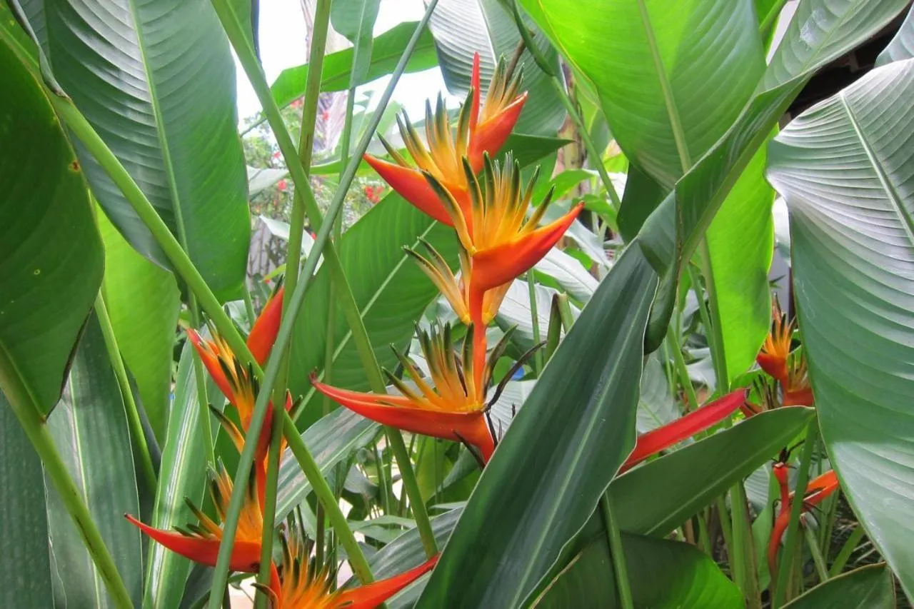 Other in Pousada Coqueiro Verde