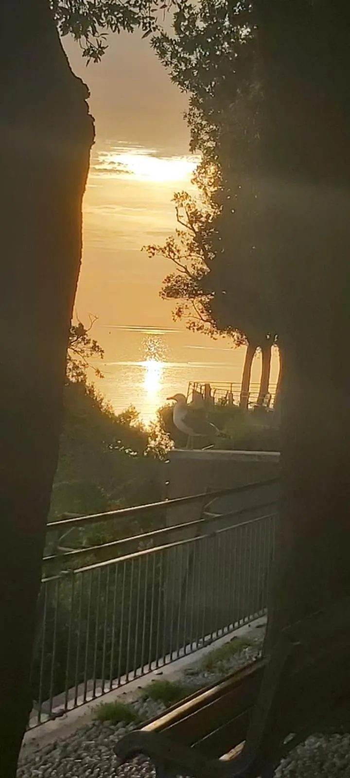 Affittacamere Villa Zelinda