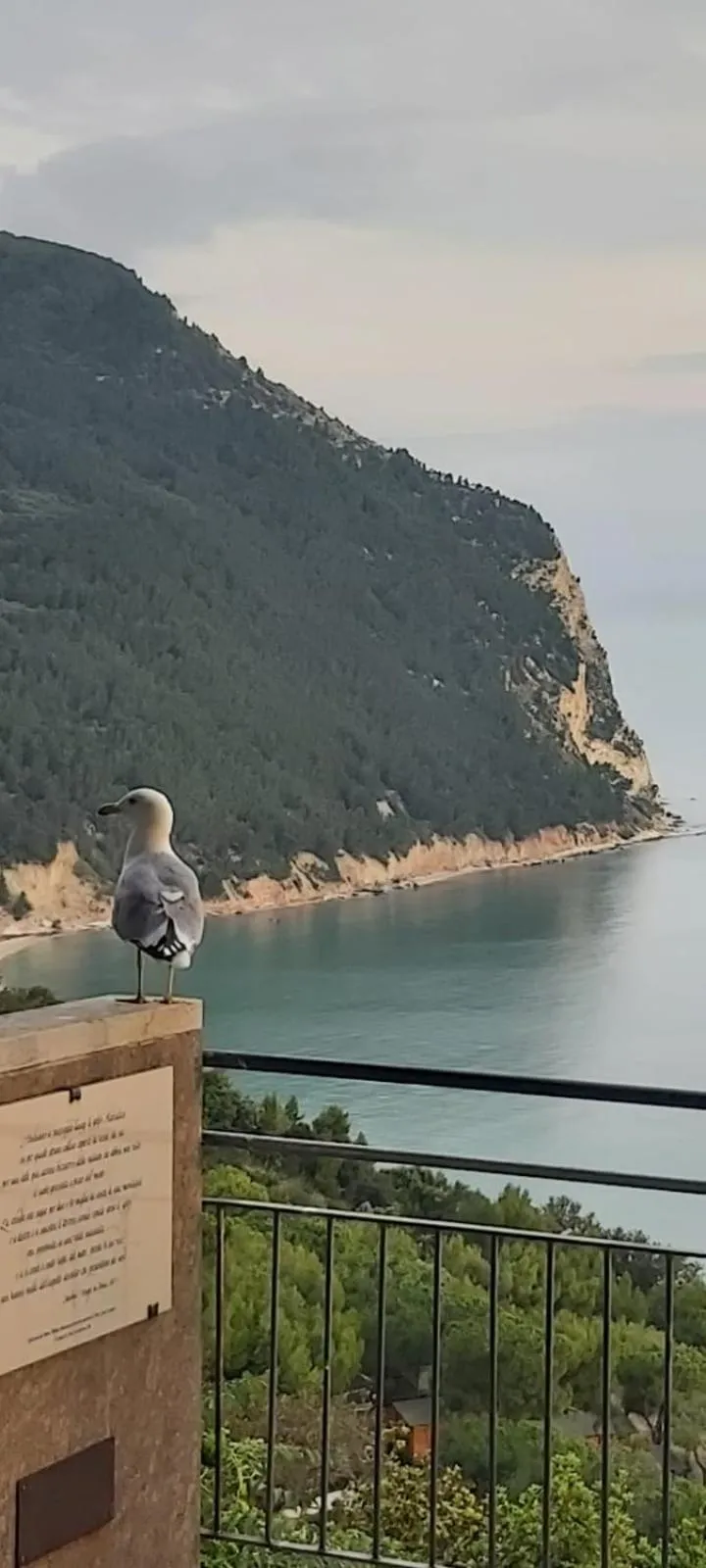 Affittacamere Villa Zelinda