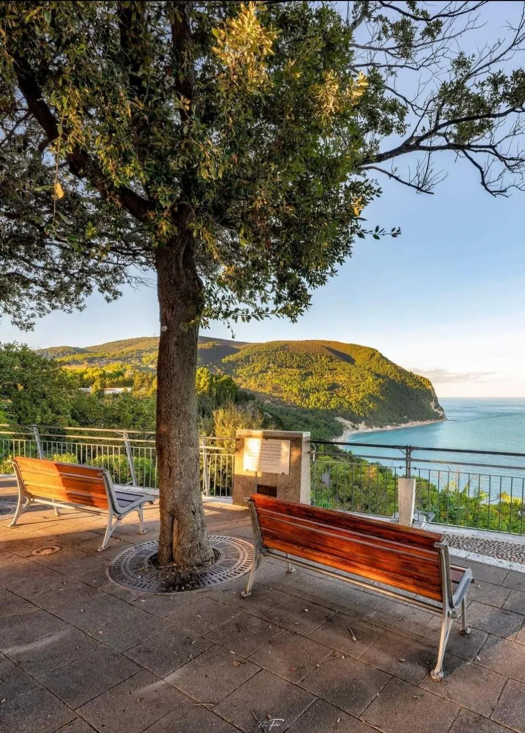 Affittacamere Villa Zelinda