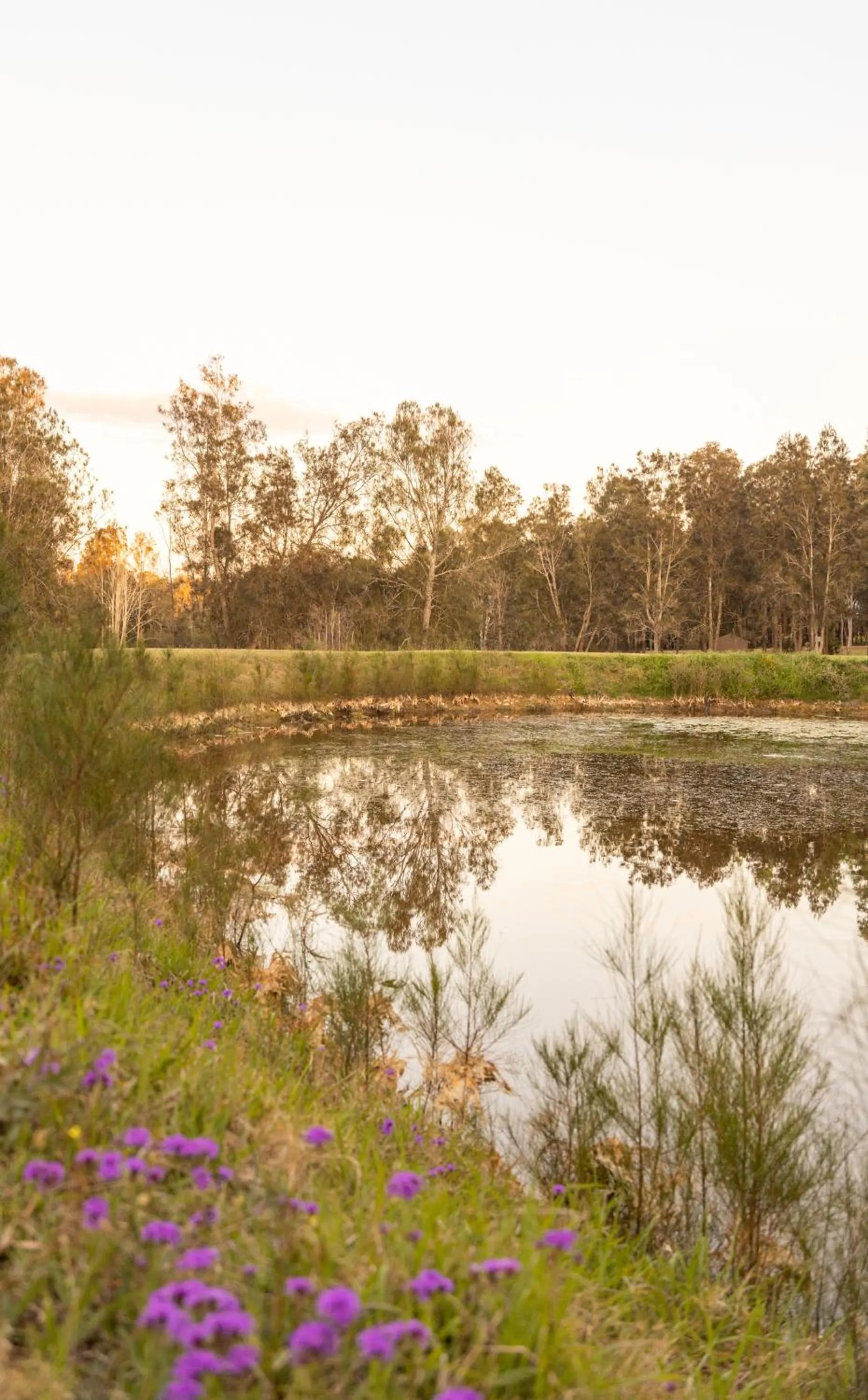 Thistle Hill Guesthouse - walk to many wineries and restaurants