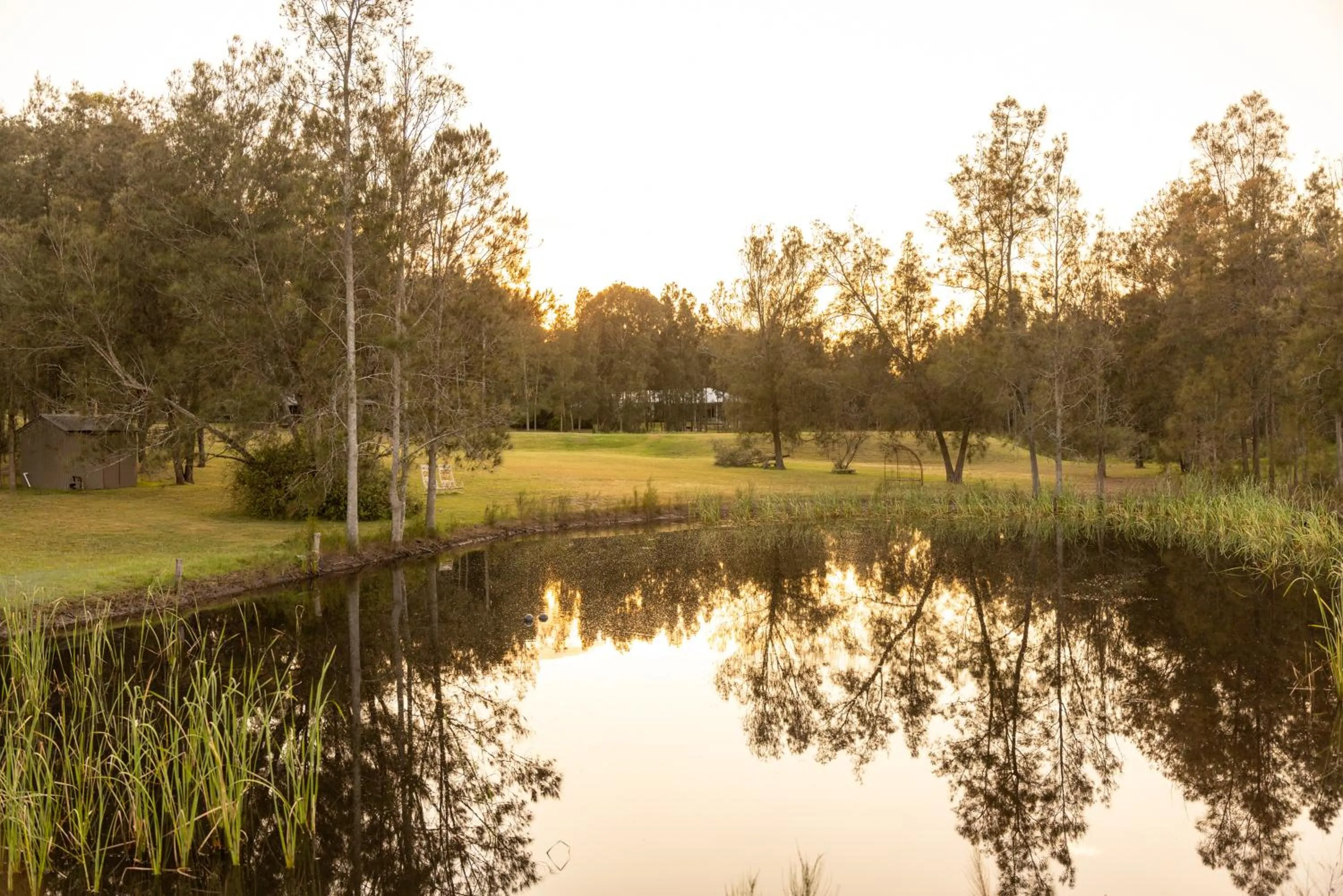 Thistle Hill Guesthouse - walk to many wineries and restaurants