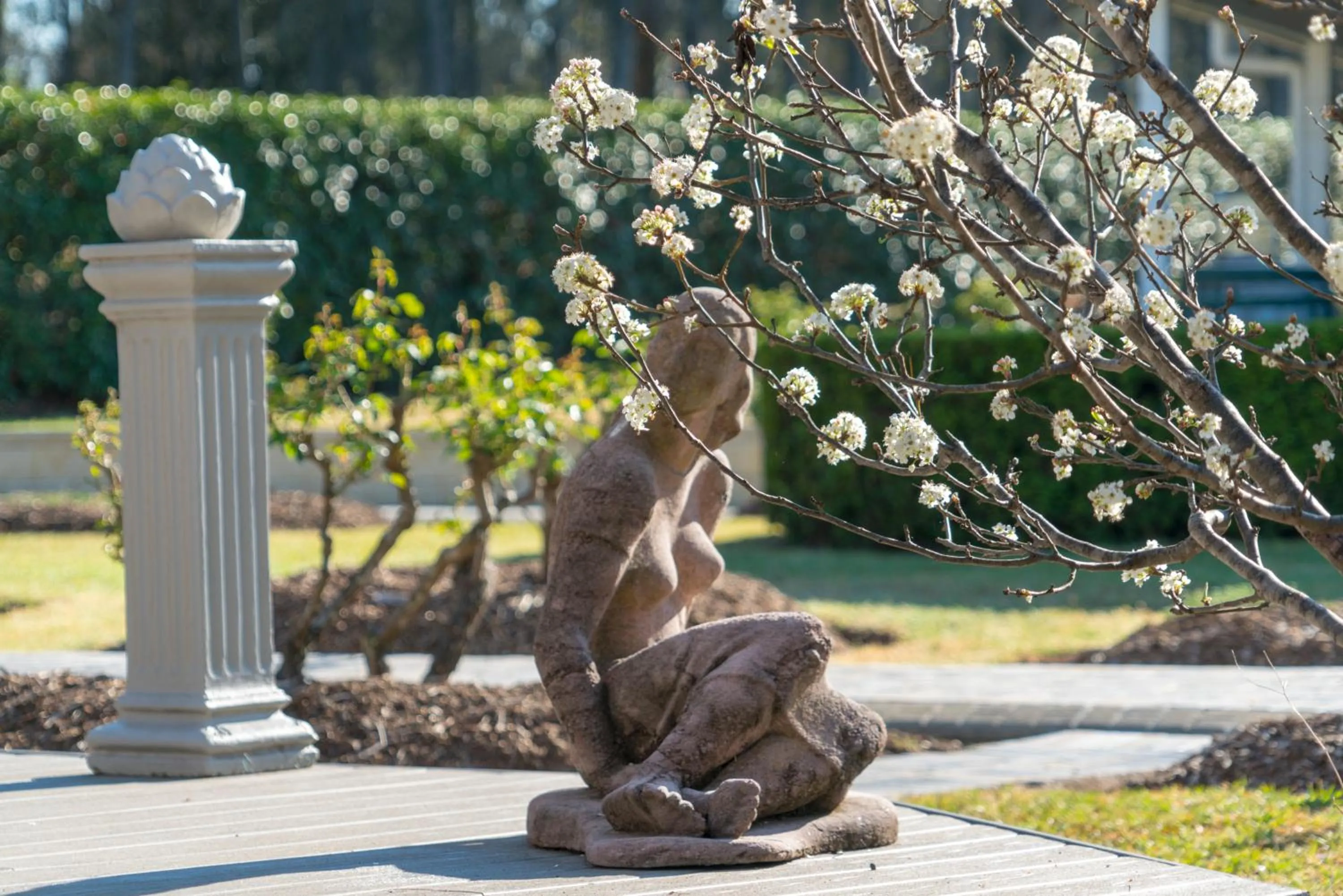 Decorative detail in Thistle Hill Guesthouse - walk to many wineries and restaurants