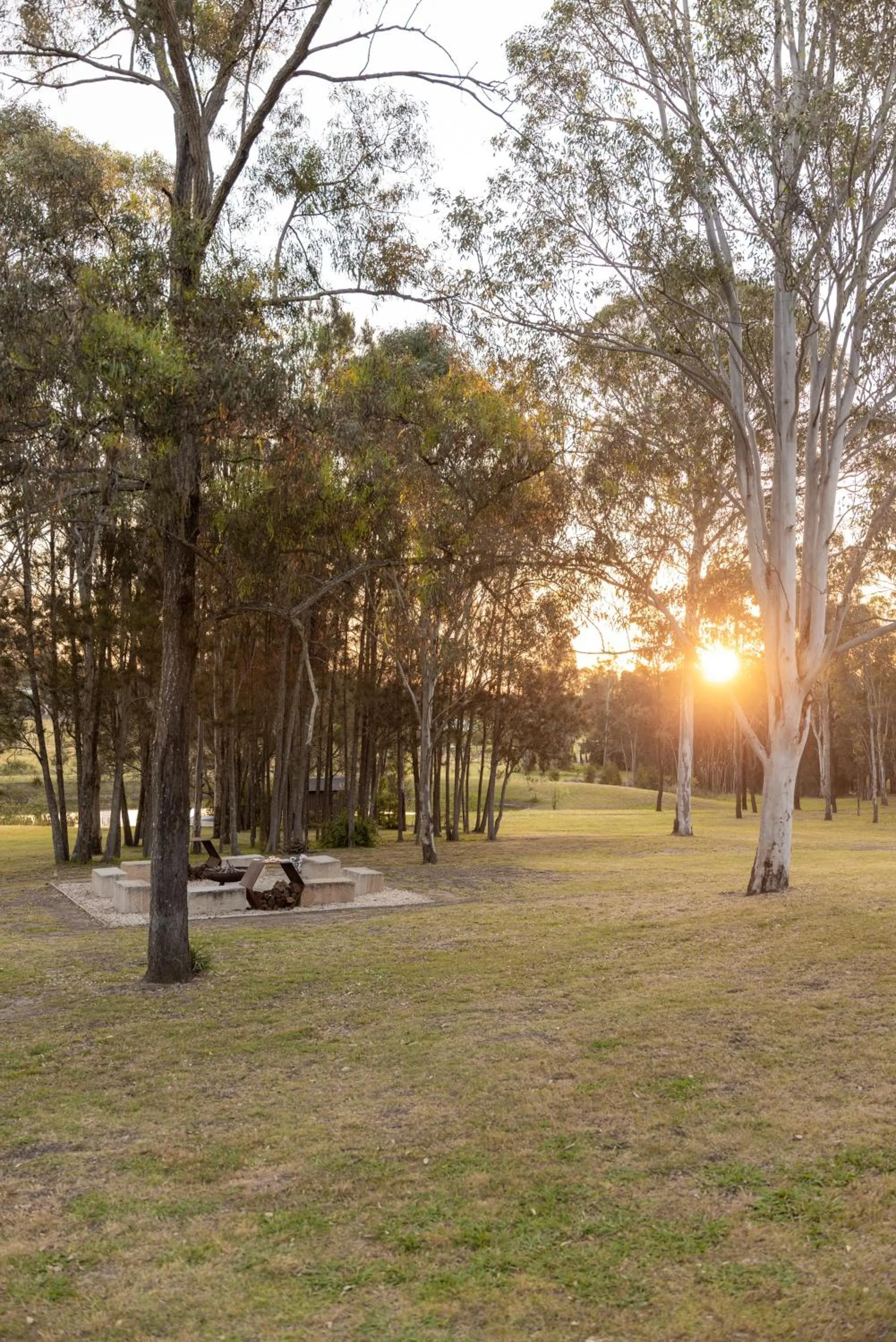 Thistle Hill Guesthouse - walk to many wineries and restaurants