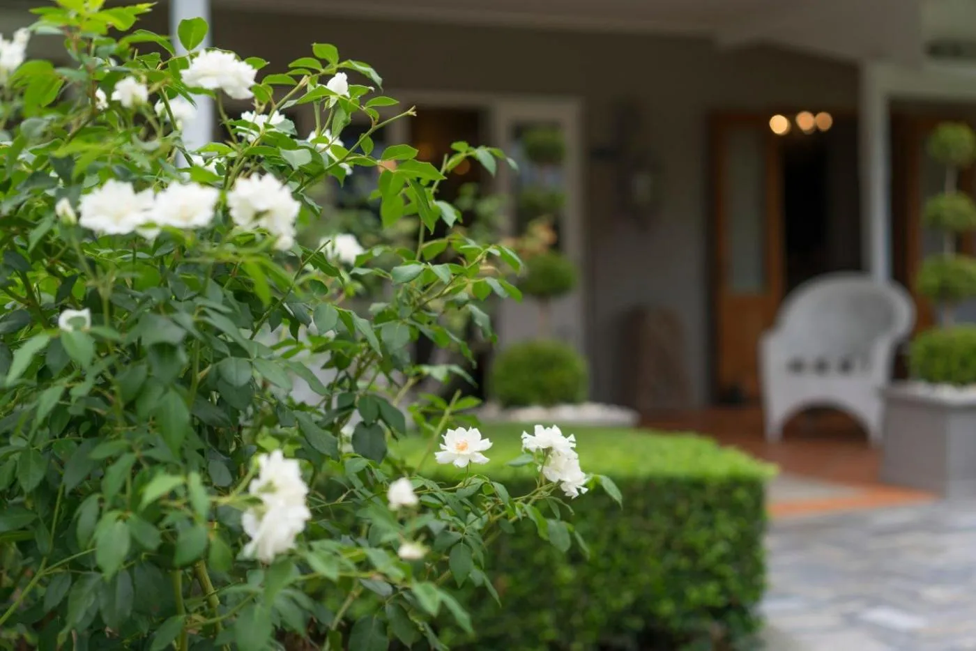 Thistle Hill Guesthouse - walk to many wineries and restaurants