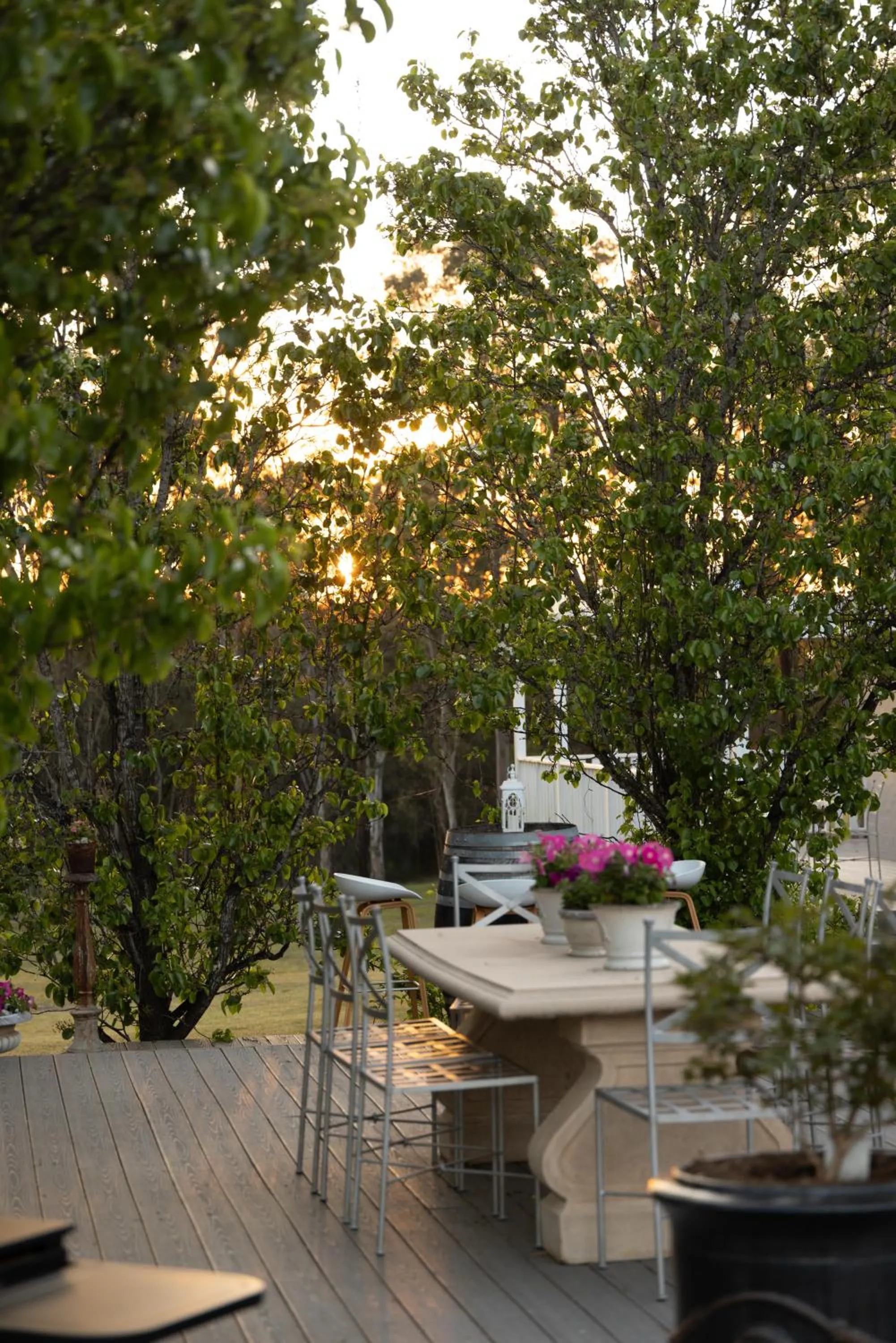 Thistle Hill Guesthouse - walk to many wineries and restaurants