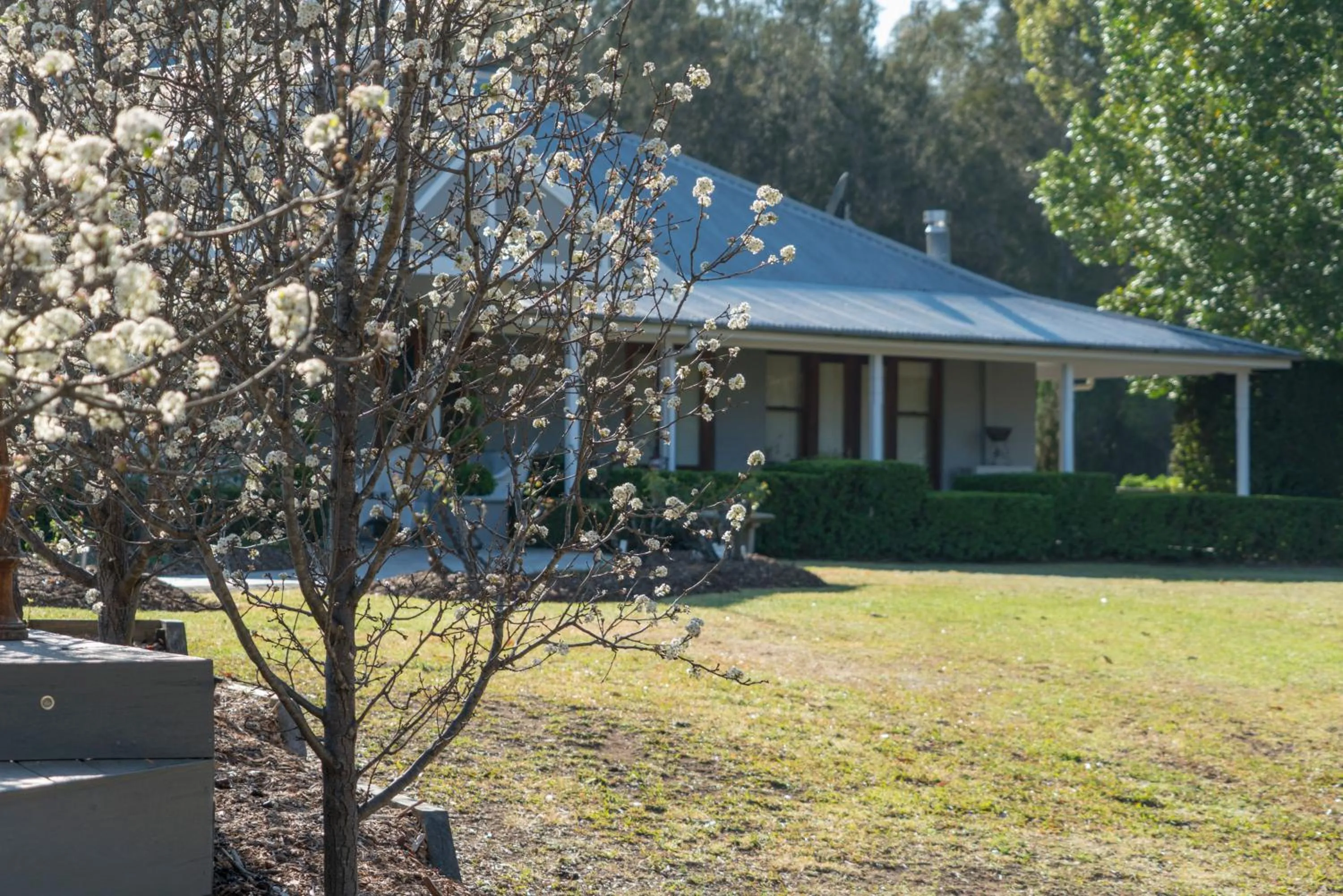 Thistle Hill Guesthouse - walk to many wineries and restaurants