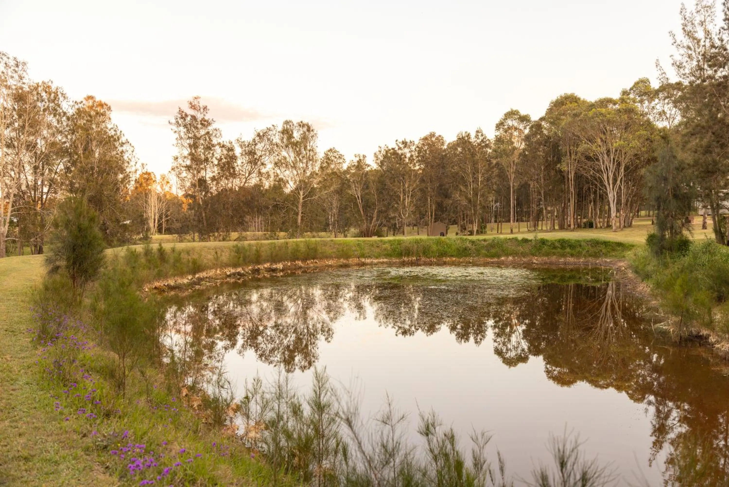 Thistle Hill Guesthouse - walk to many wineries and restaurants
