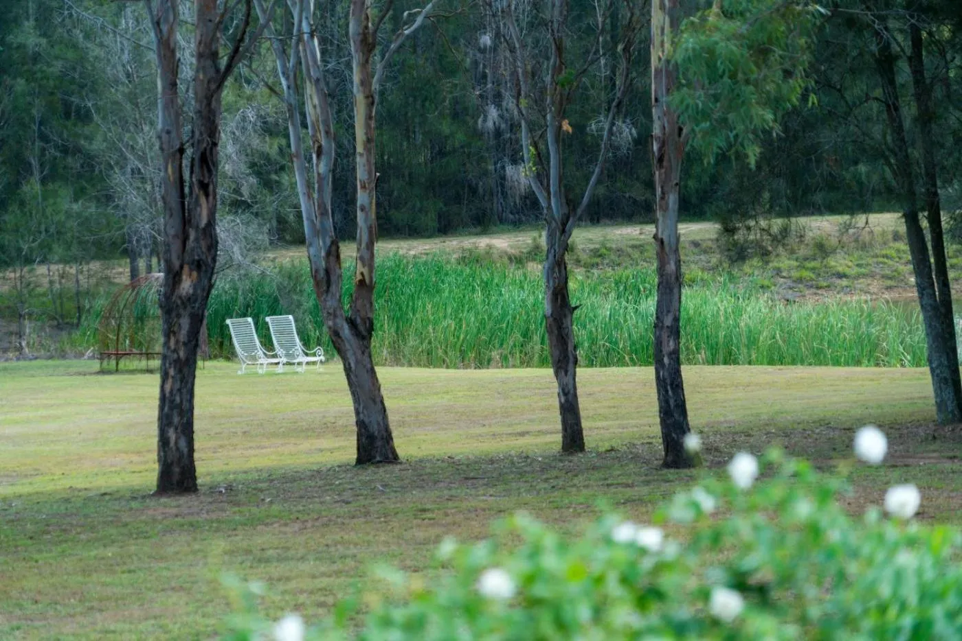 Thistle Hill Guesthouse - walk to many wineries and restaurants