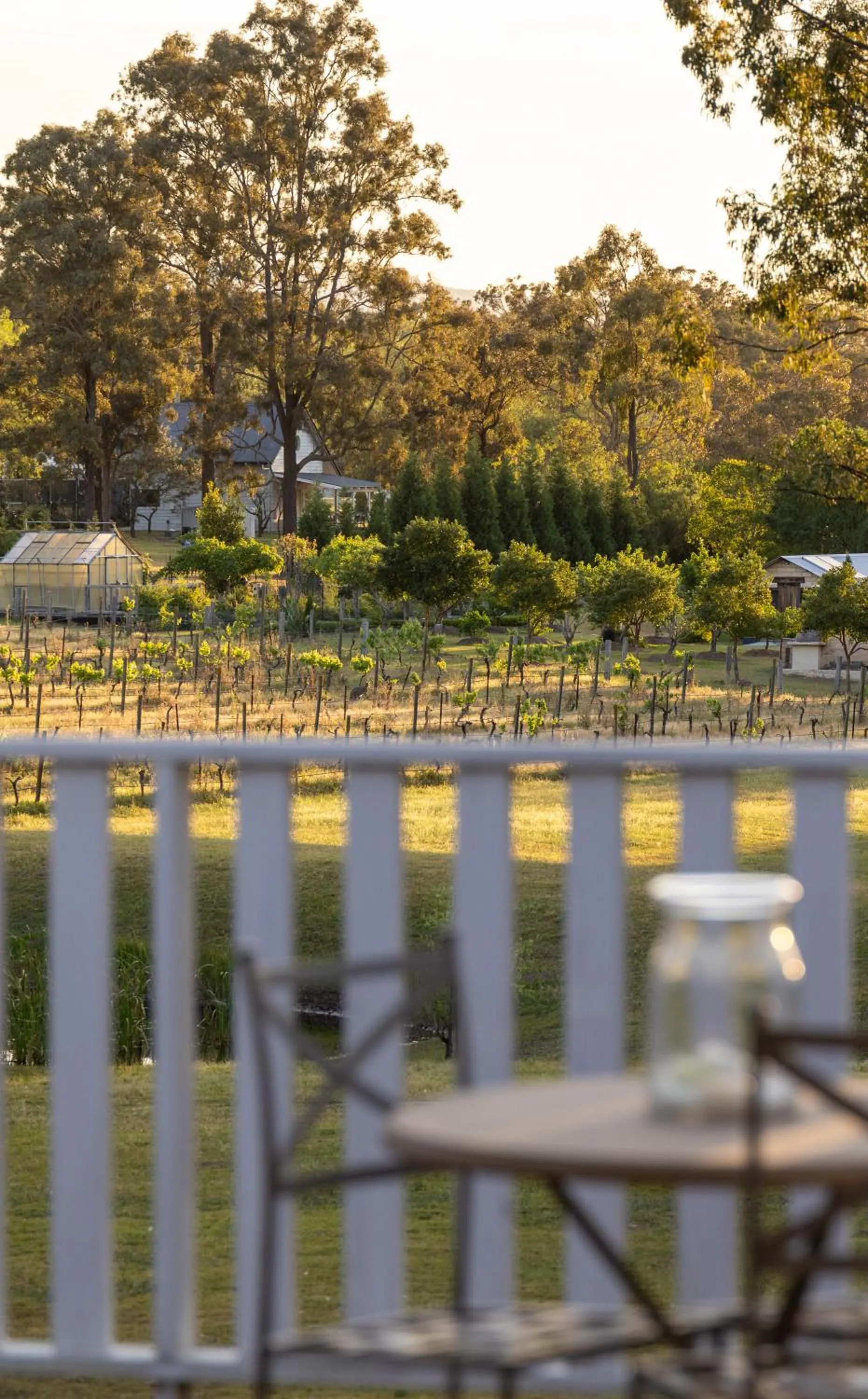 Thistle Hill Guesthouse - walk to many wineries and restaurants