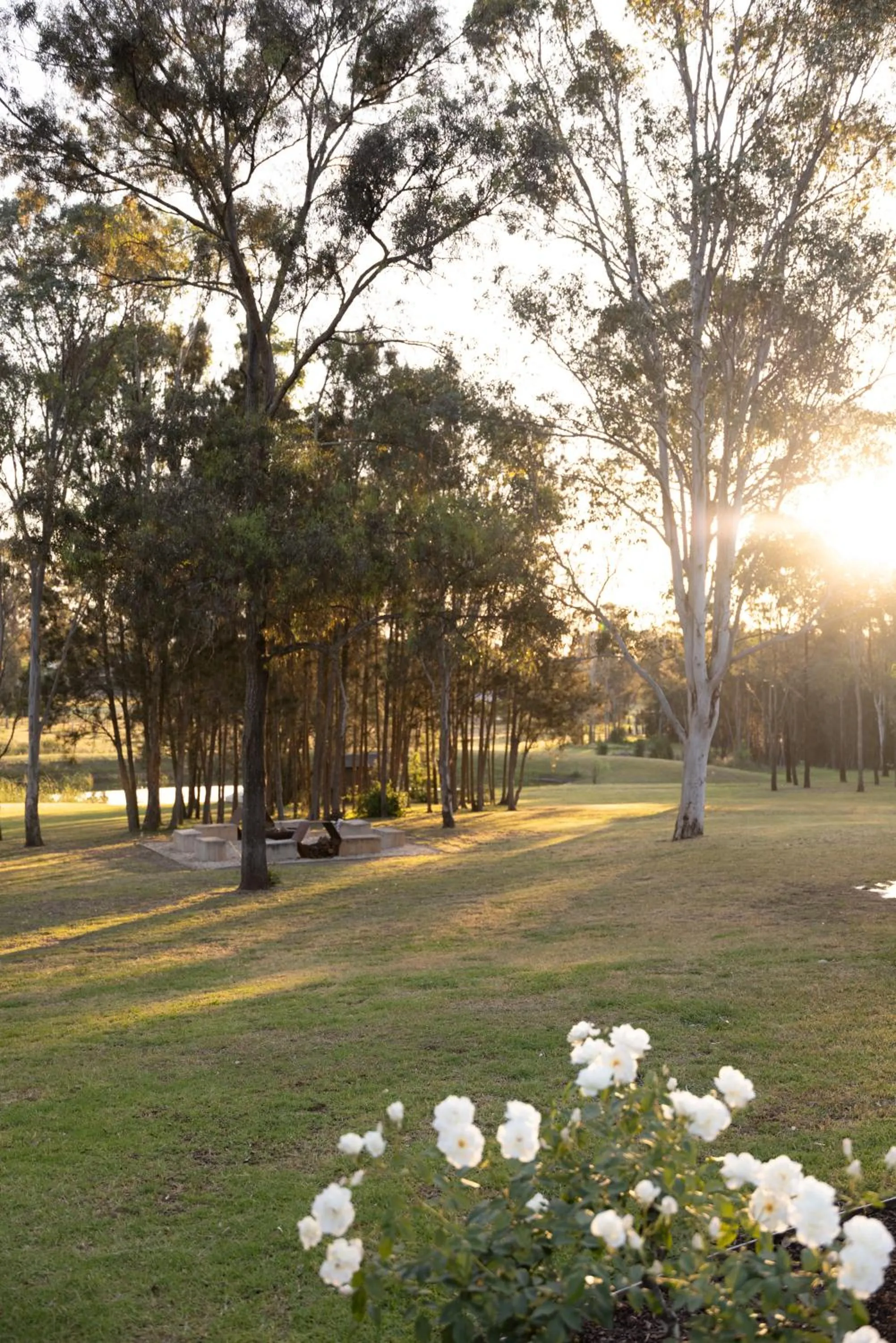 Thistle Hill Guesthouse - walk to many wineries and restaurants