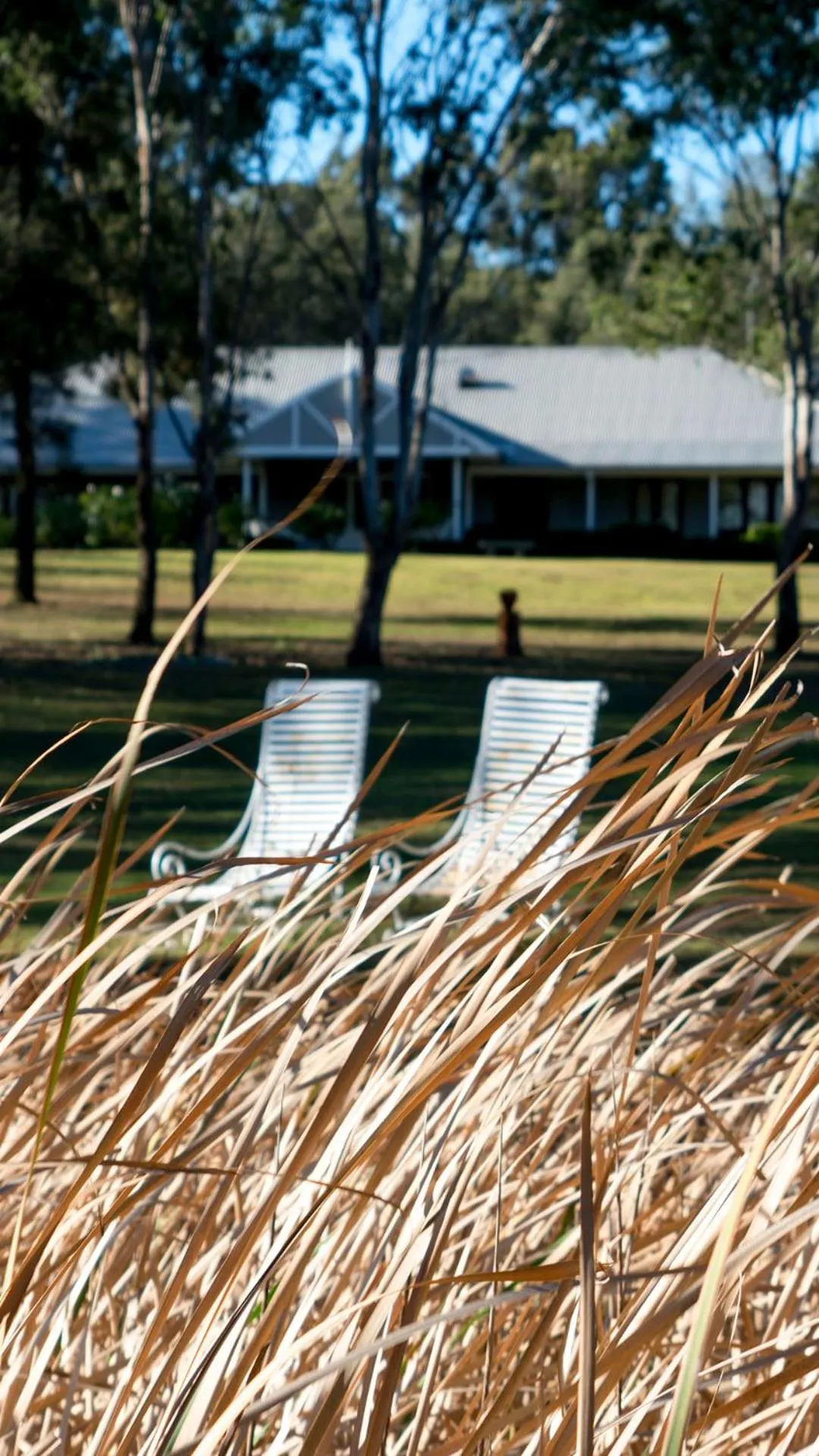 Natural landscape in Thistle Hill Guesthouse - walk to many wineries and restaurants