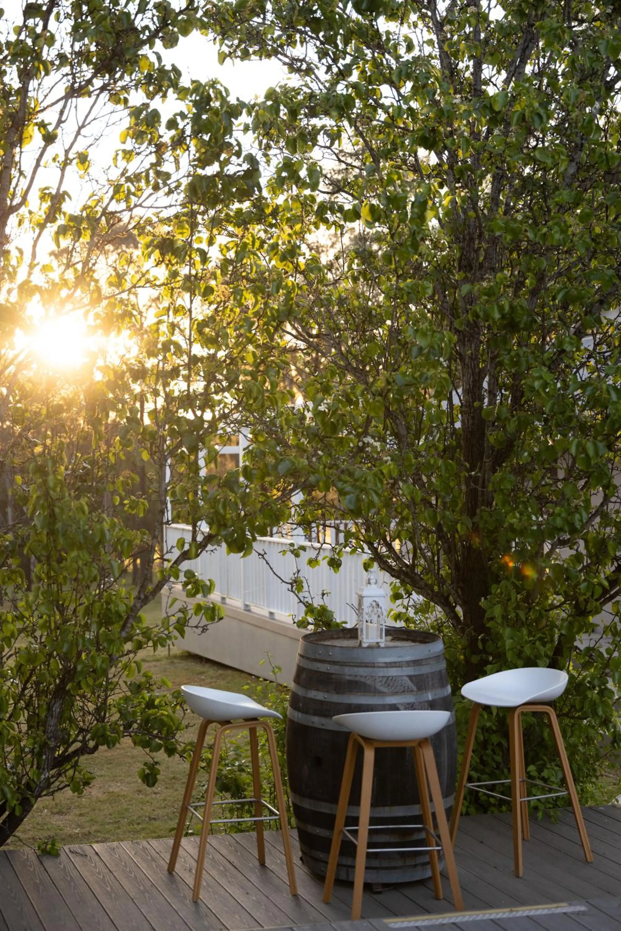 Thistle Hill Guesthouse - walk to many wineries and restaurants