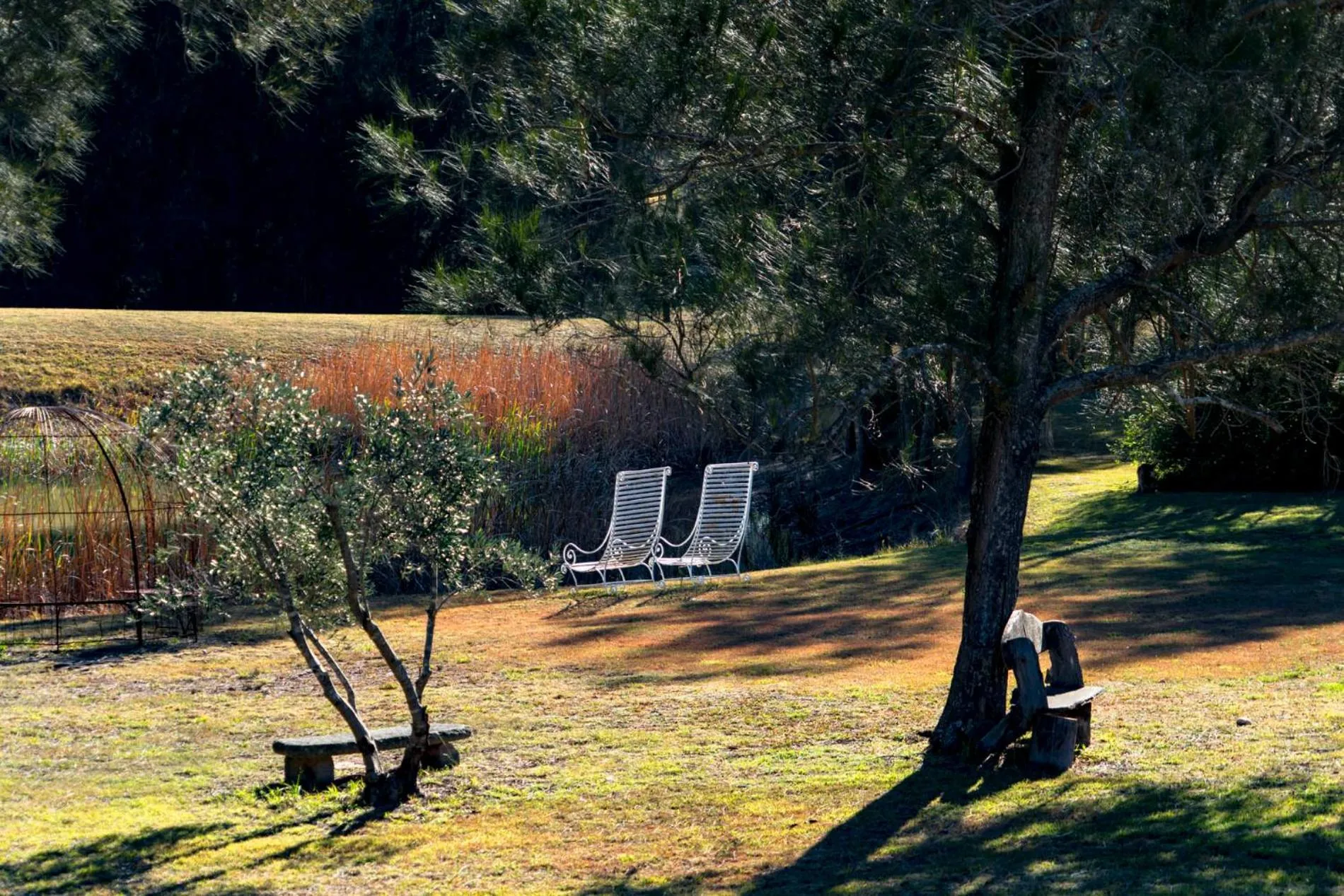 Thistle Hill Guesthouse - walk to many wineries and restaurants